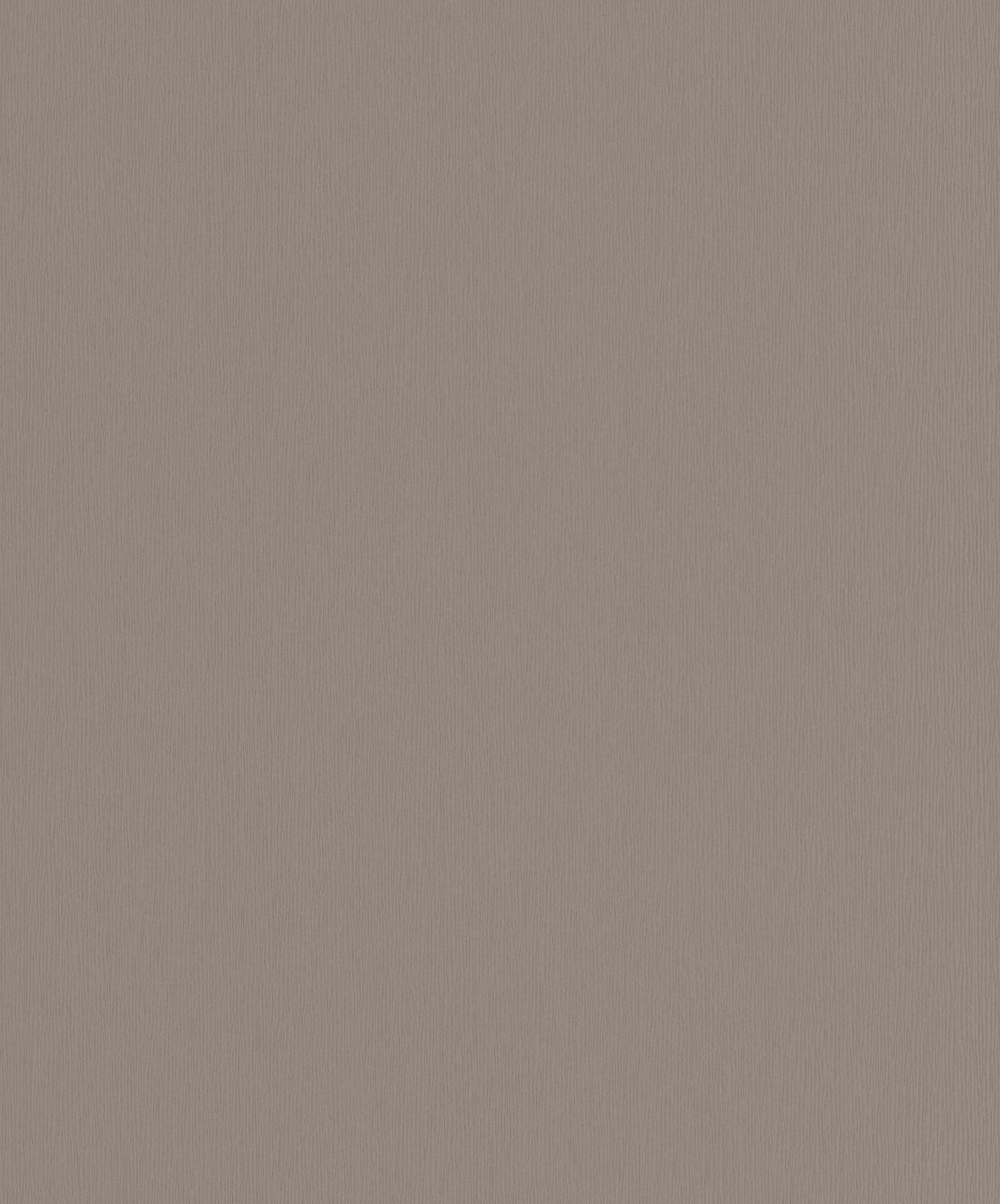 Rasch Vliestapete Endless Joy 2015 braun Unitapete 722703