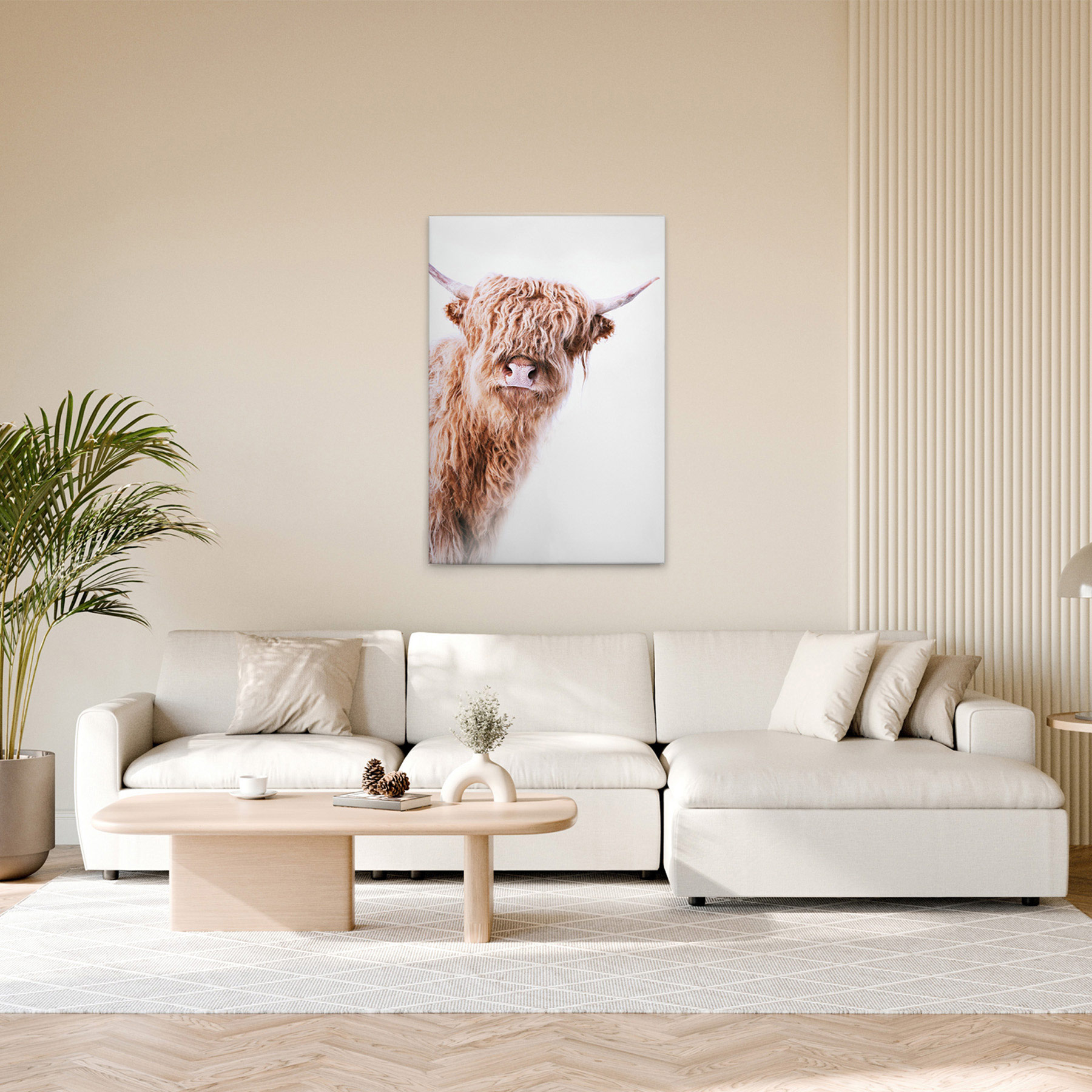 AS Leinwandbild Highland Cattle 2 DD132233