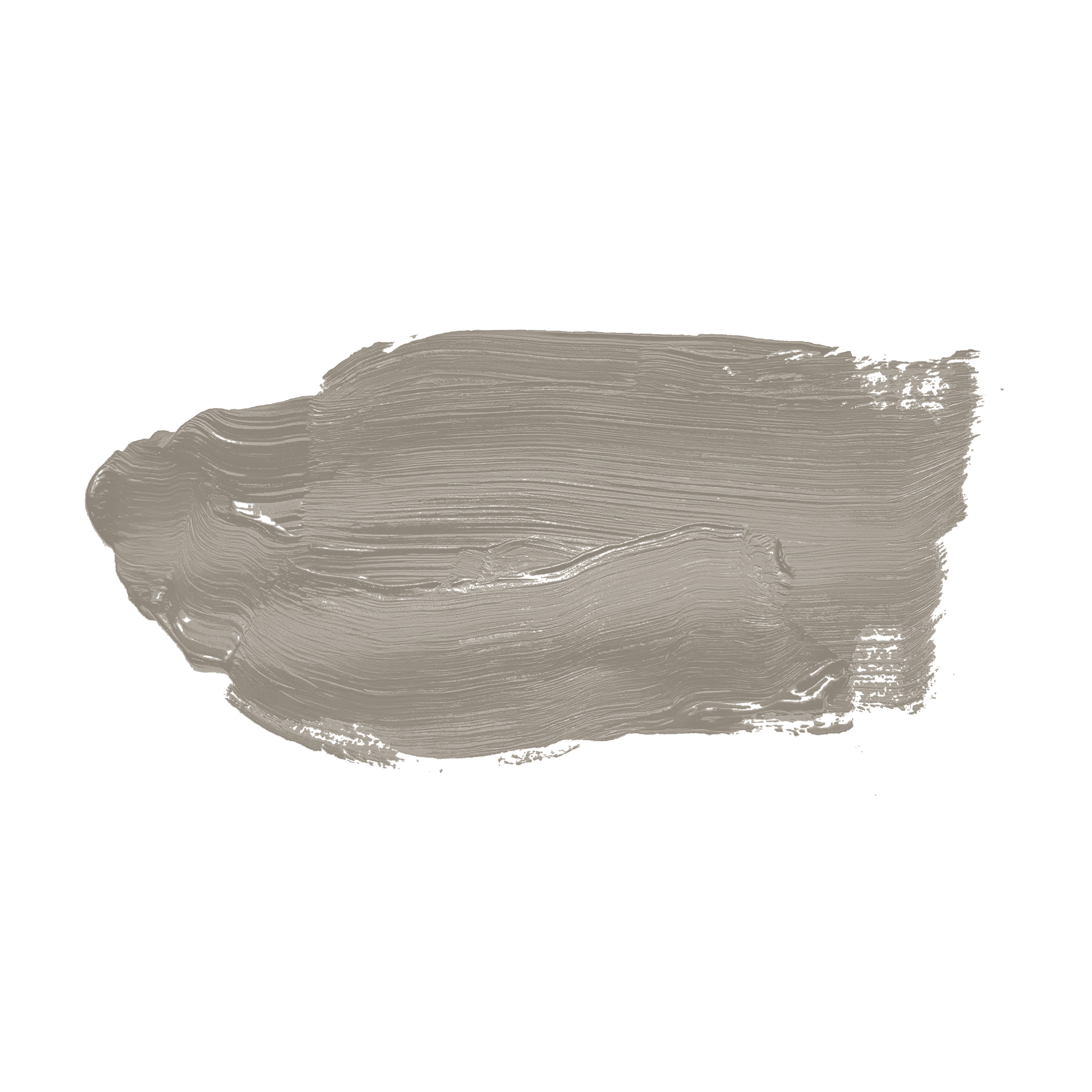 AS Wandfarbe The Color Kitchen TCK1019 Grey Pumpkin 2,5 L
