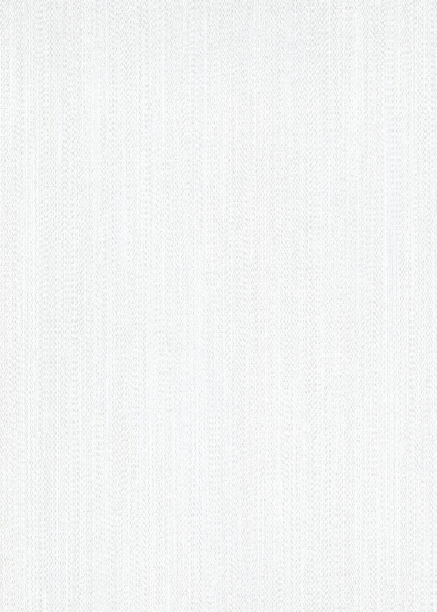 Erismann Vliestapete Charisma weiß 1025201