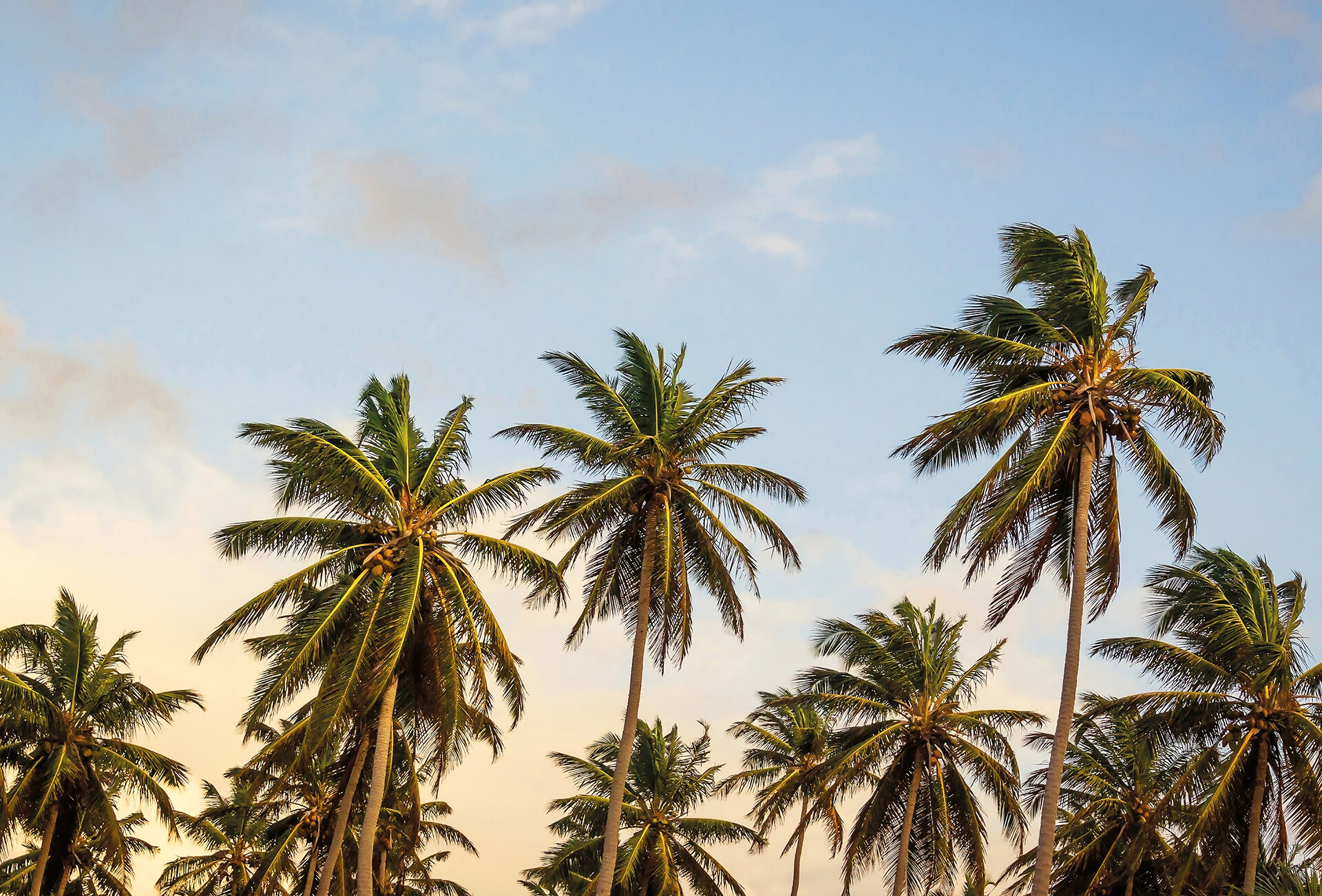 AS Fototapete Designwalls 2.0 Take me to Ibiza DD119041