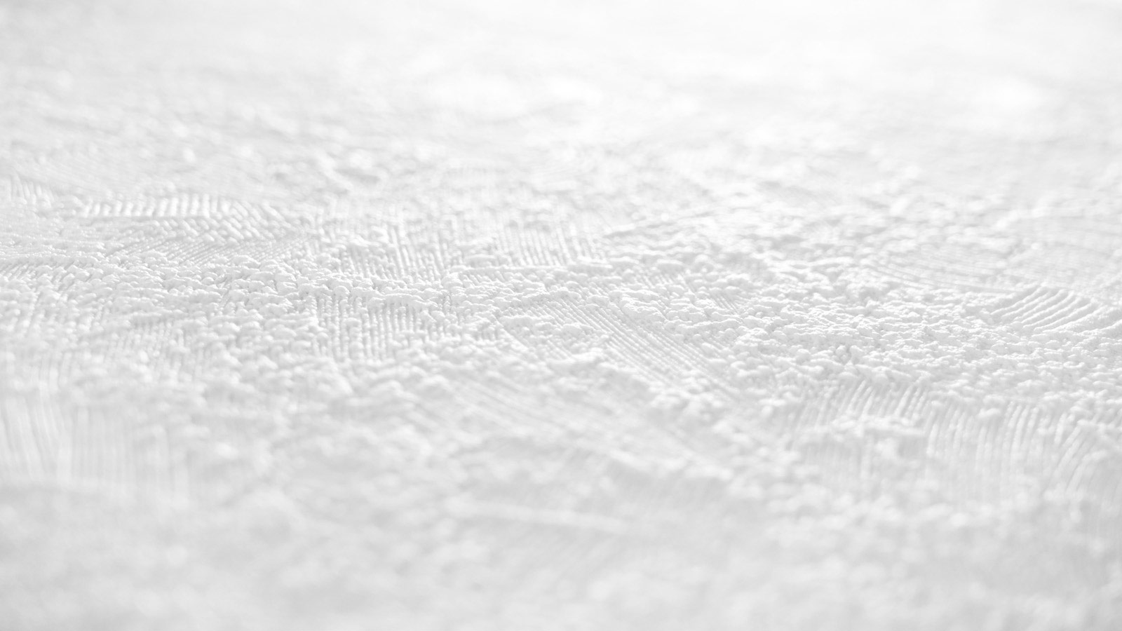 AS Vliestapete Meistervlies 8 überstreichbar 145215