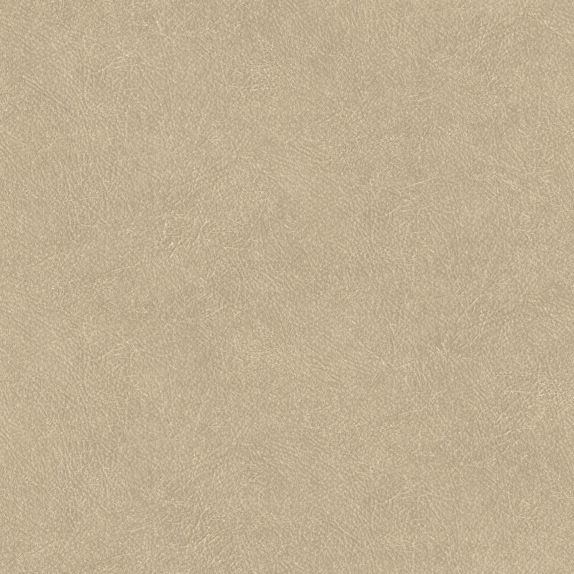 Thomas Vliestapete Pacific Island beige Lederoptik TA25021 Thomas Vliestapete Pacific Island beige Lederoptik TA25021