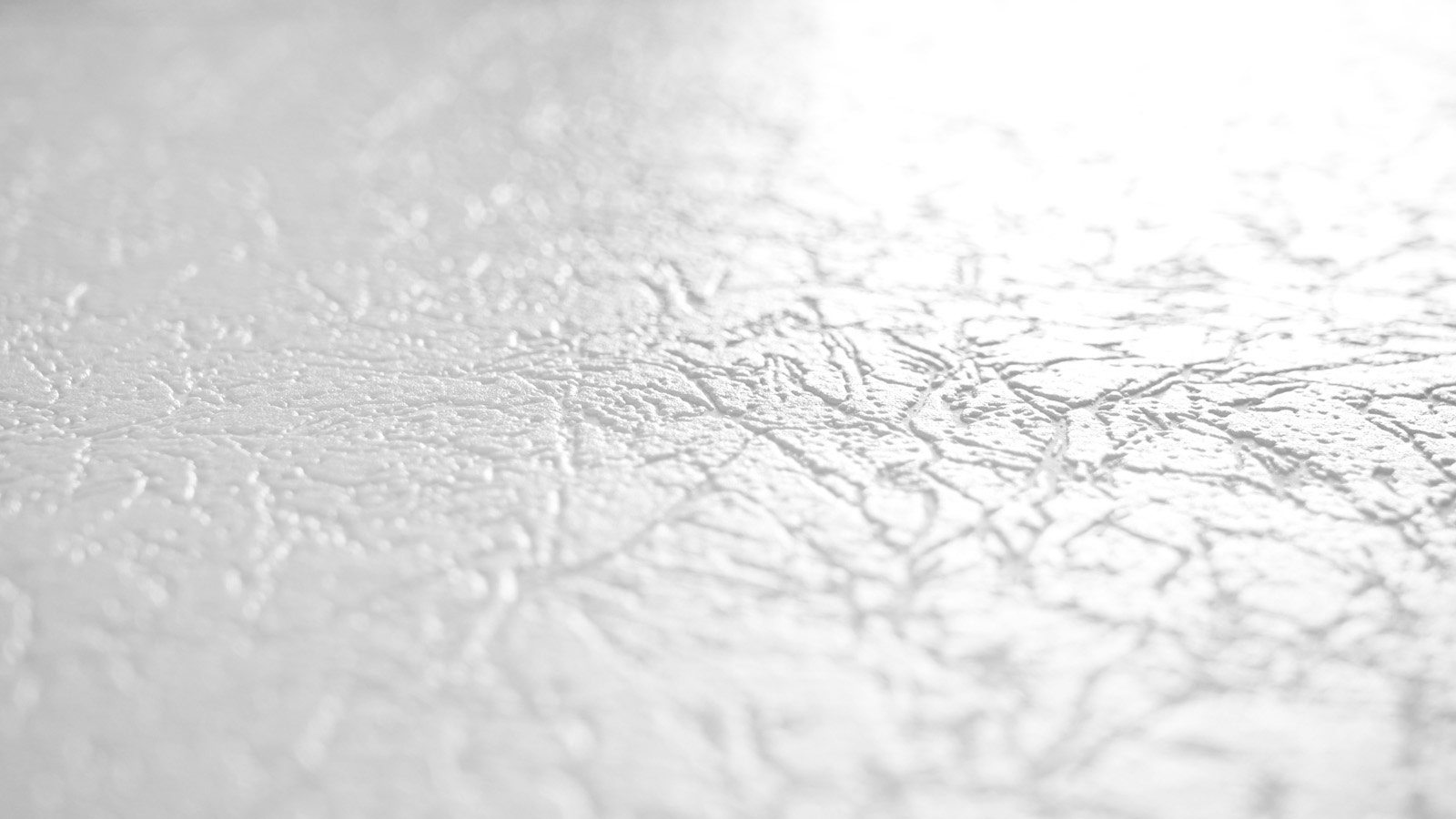 AS Vliestapete Meistervlies 8 überstreichbar 563217