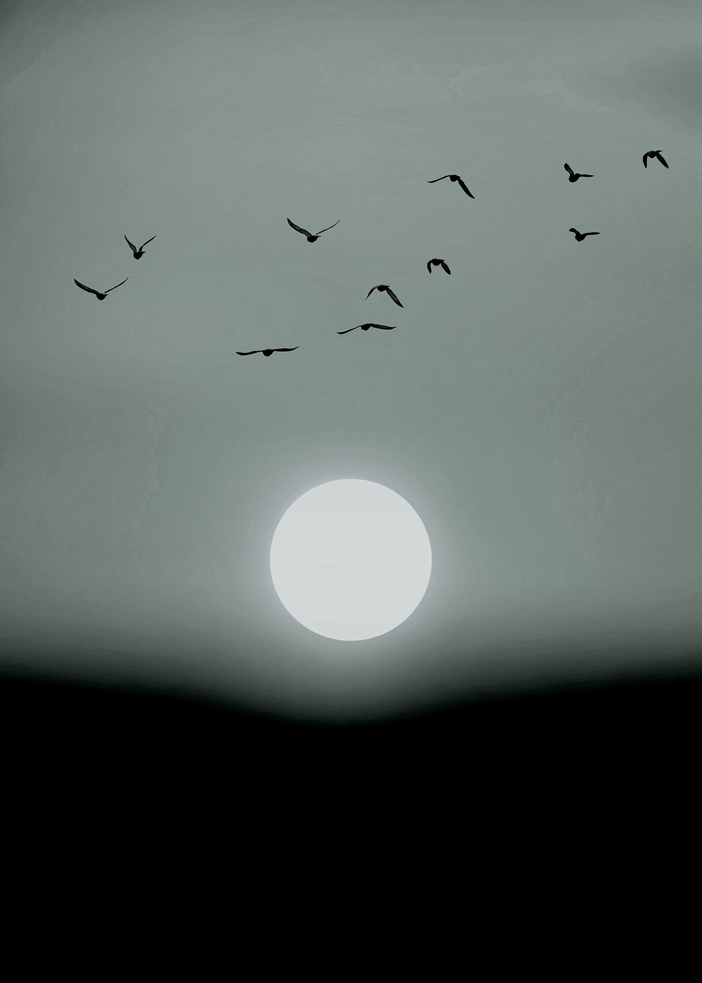 AS Fototapete ARTist Vögel DD119929 AS Fototapete ARTist Vögel DD119929