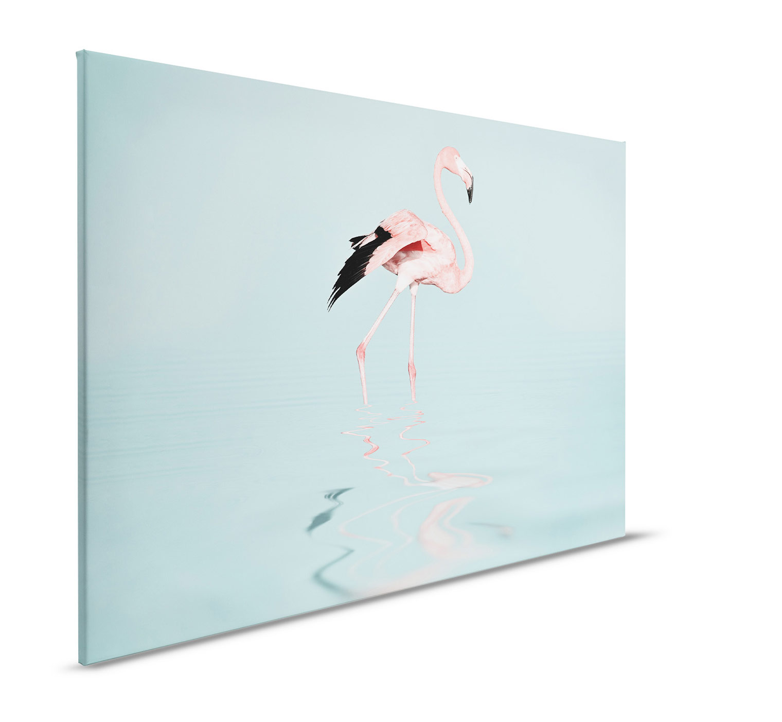 AS Leinwandbild Flamingo Water DD132173