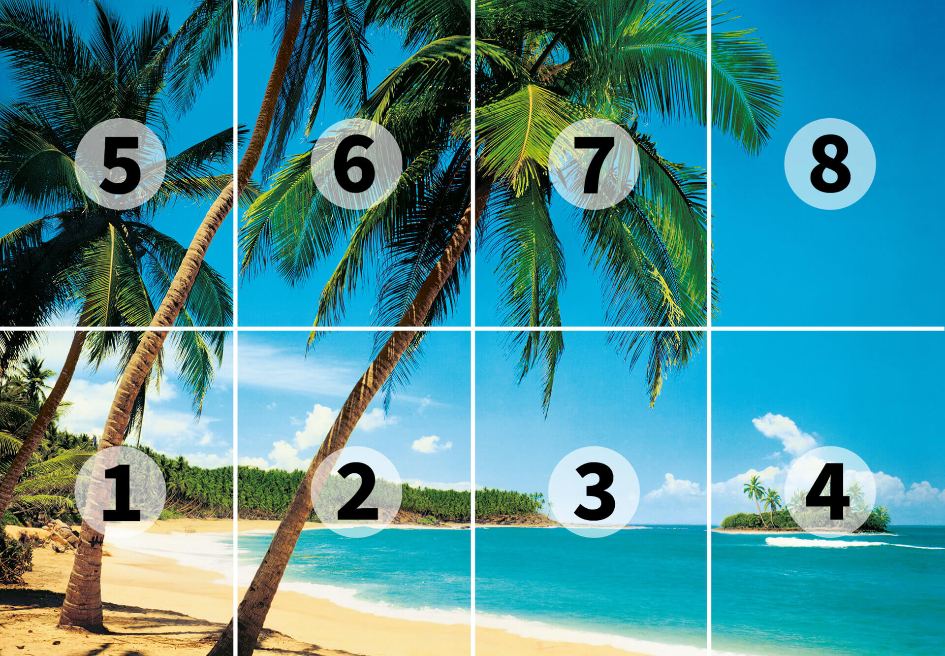 AS Fototapete Designwalls 2.0 Ile Tropicale DD118865