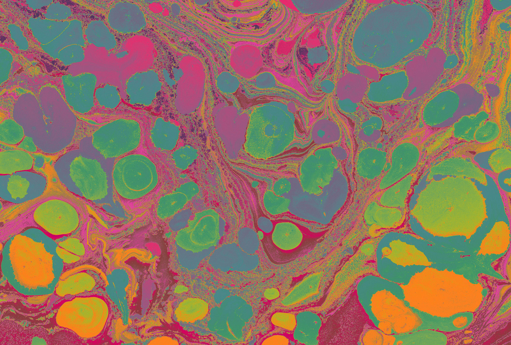 AS Fototapete Walls by Patel 4 flow Bunt DD127597