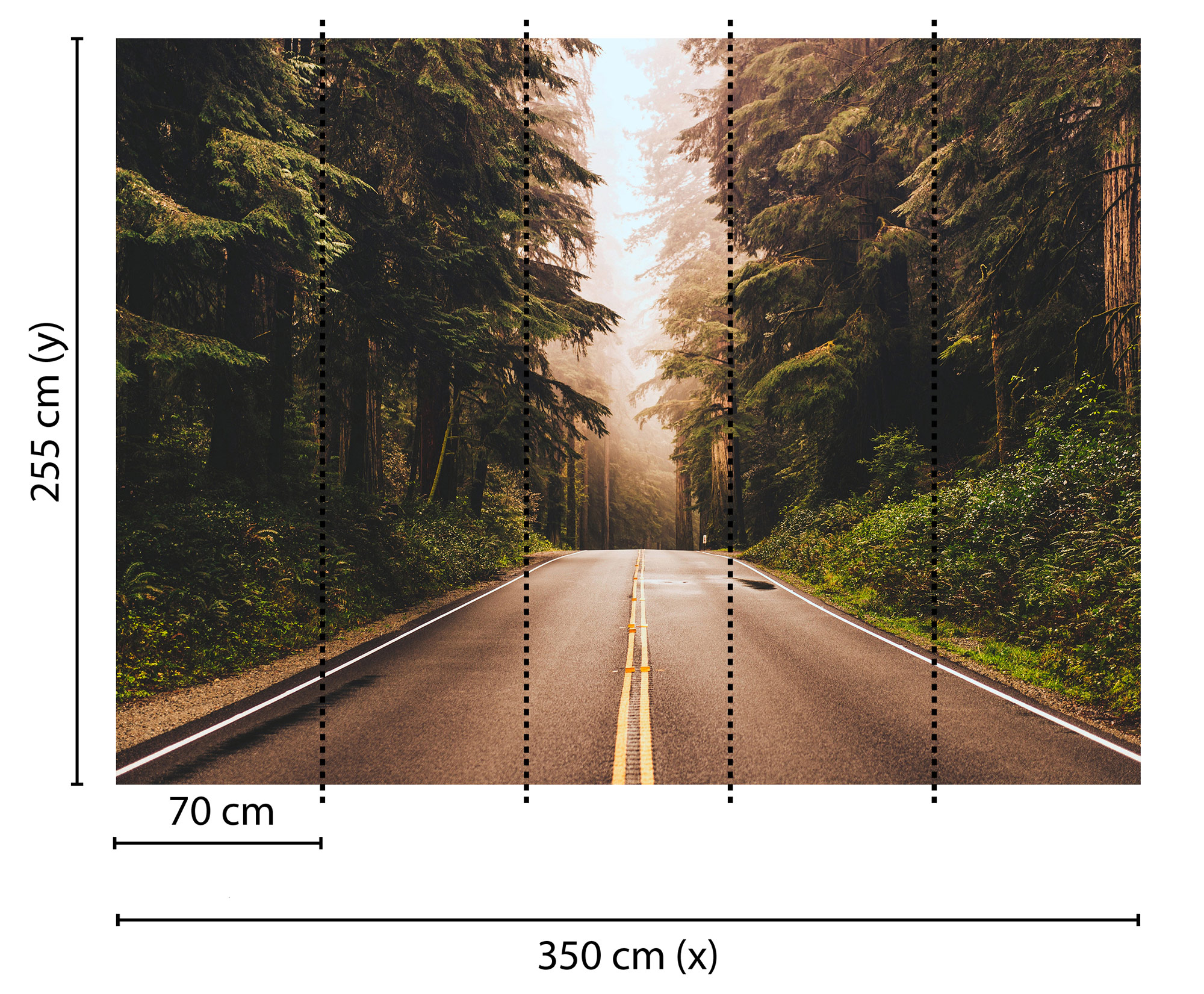 AS Fototapete Designwalls Roadtrip DD118636