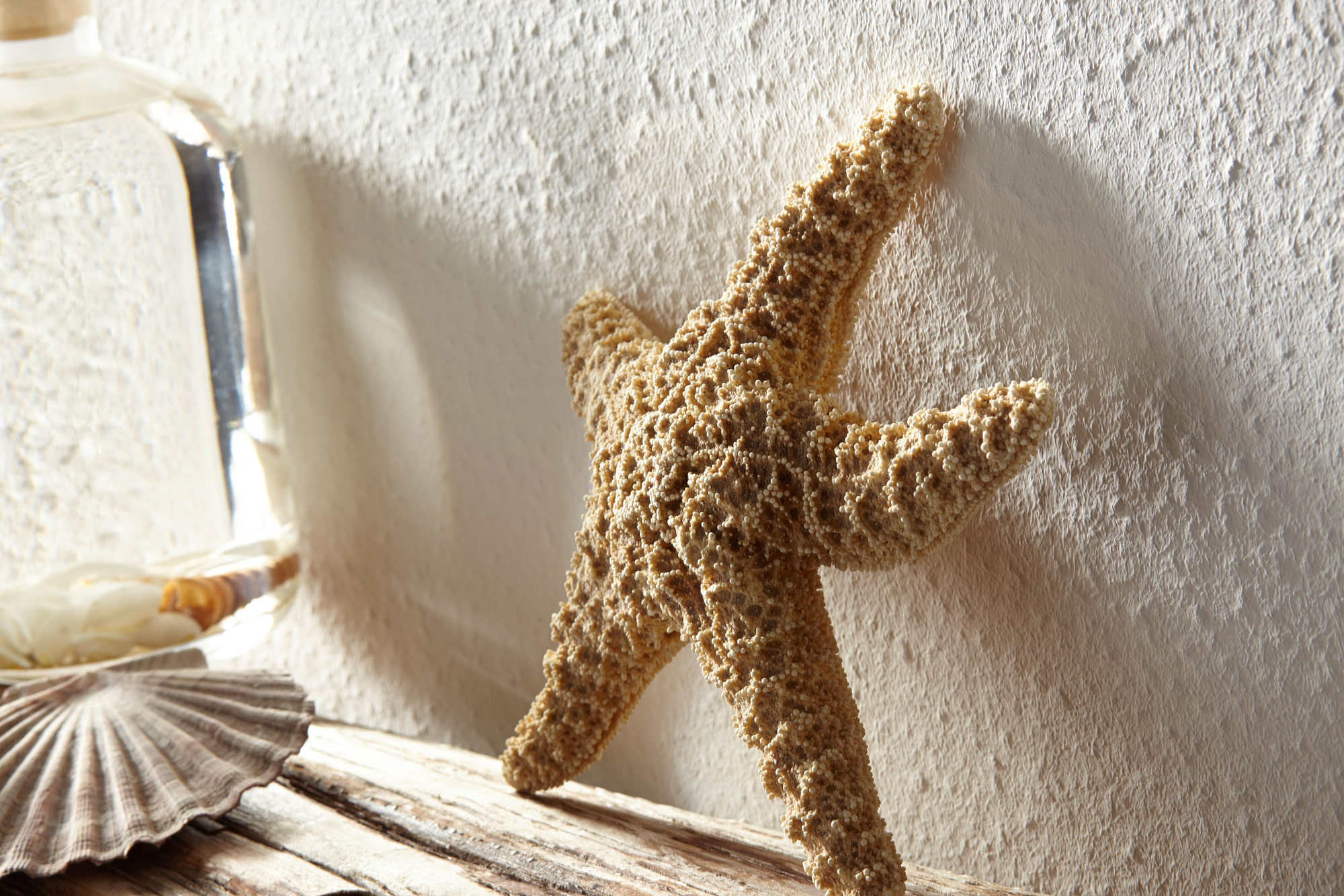 Erfurt Rauhfaser-Tapete Sprint | Karton (6 Rollen)