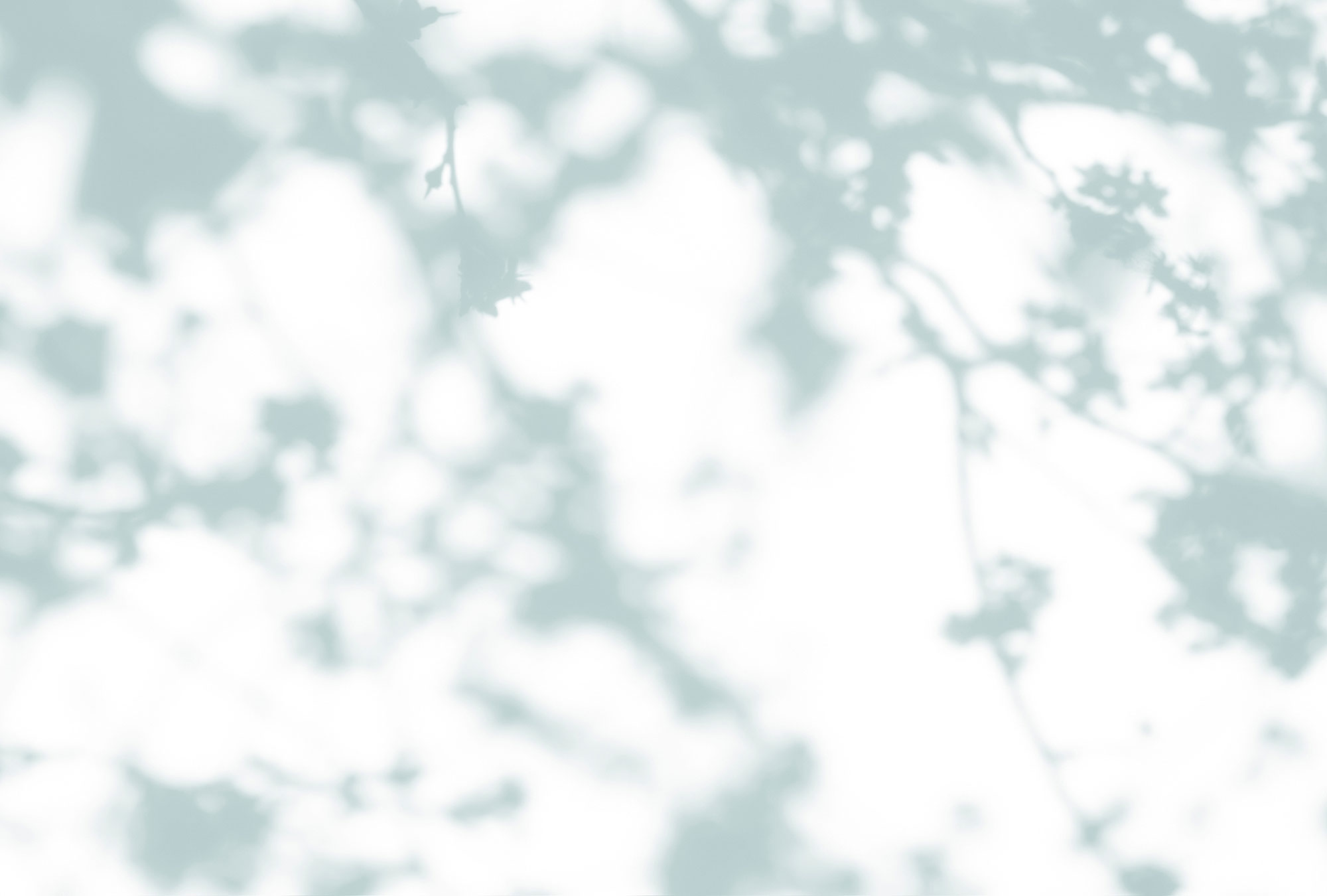 AS Fototapete Walls by Patel 3 Blumen DD122032 AS Fototapete Walls by Patel 3 Blumen DD122032