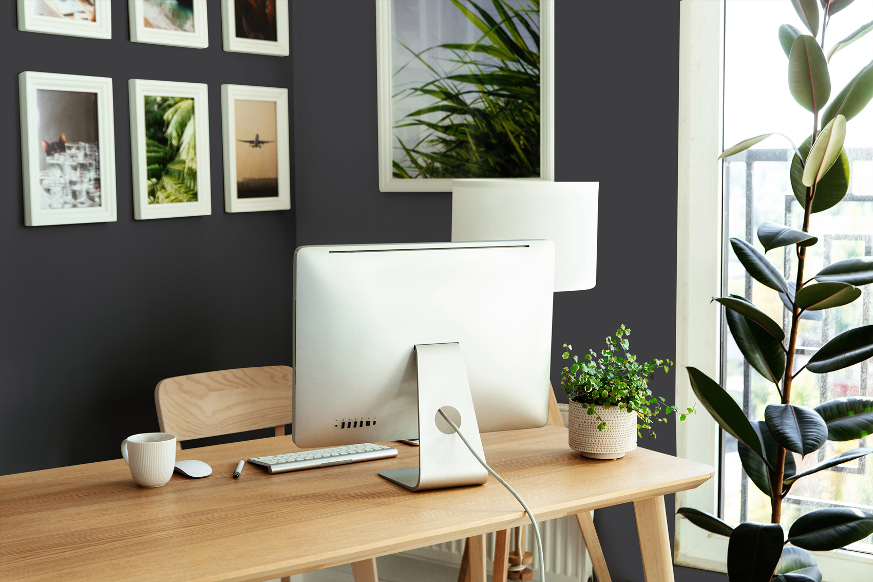 AS Wandfarbe The Color Kitchen TCK1007 Casual Caviar 2,5 L