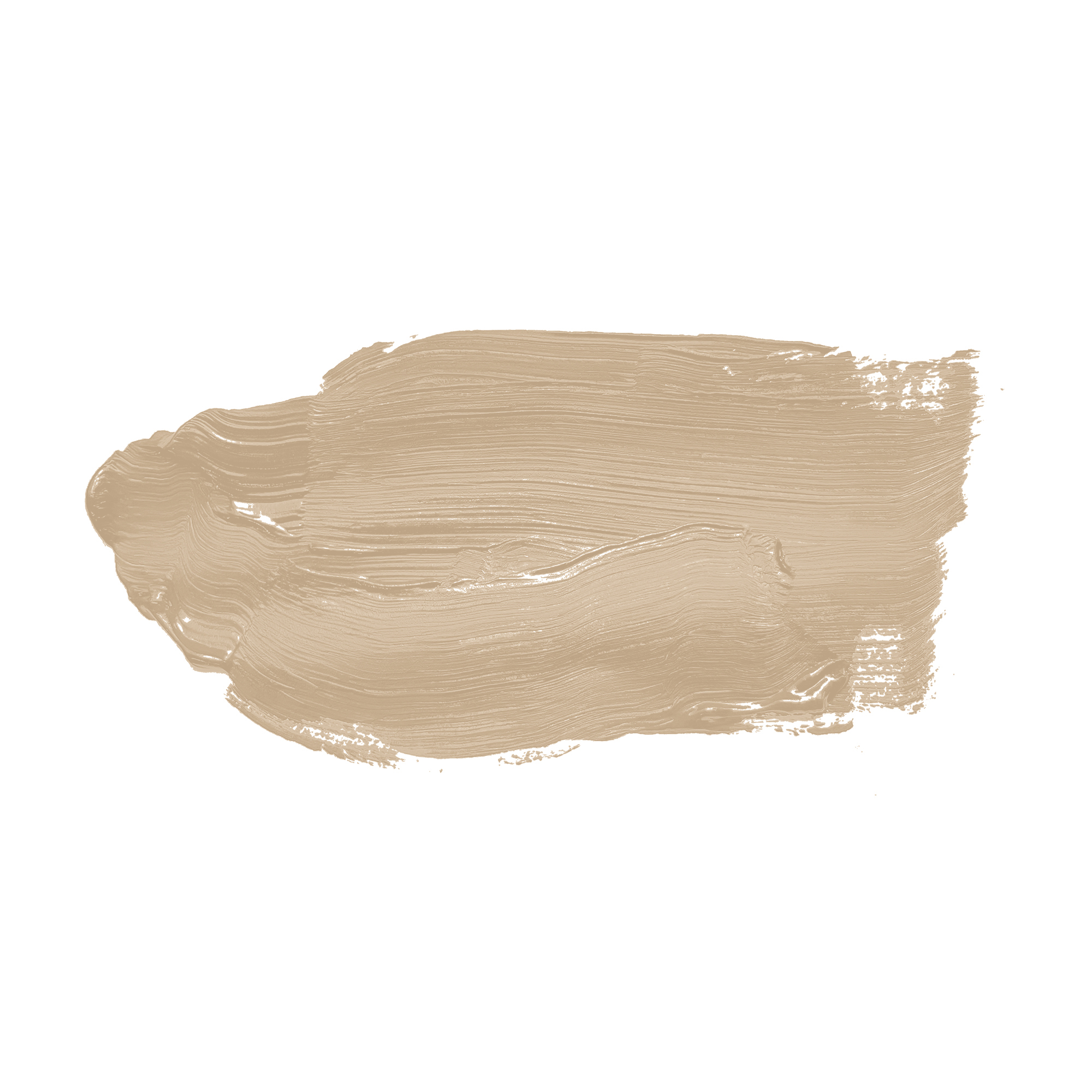 AS Wandfarbe The Color Kitchen TCK6002 Flat White Coffee 2,5