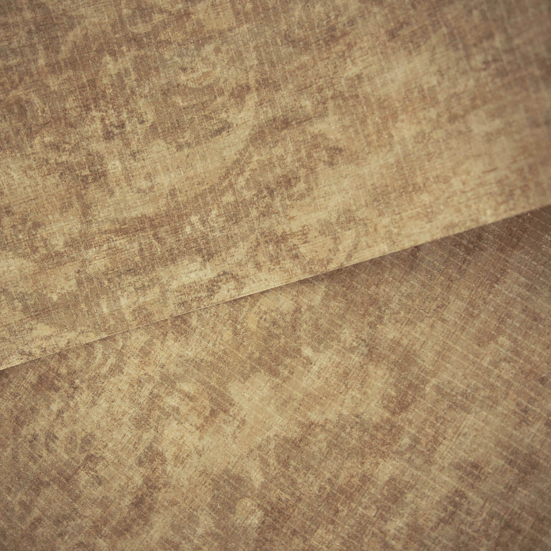 Hohenberger Vliestapete Cerra Fleur Gold 81423