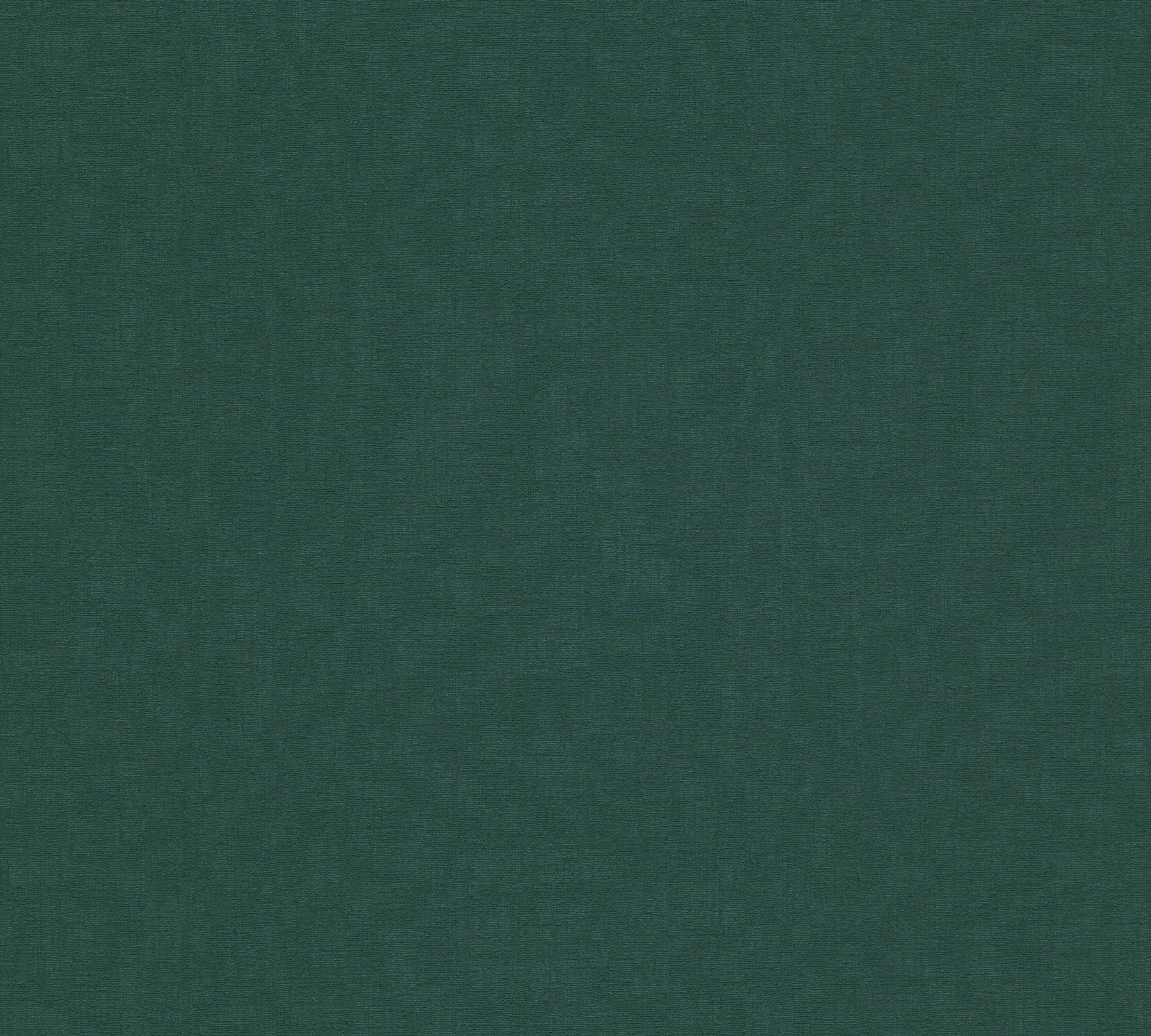 Livingwalls Vliestapete Stories of Life Uni Grün 396555