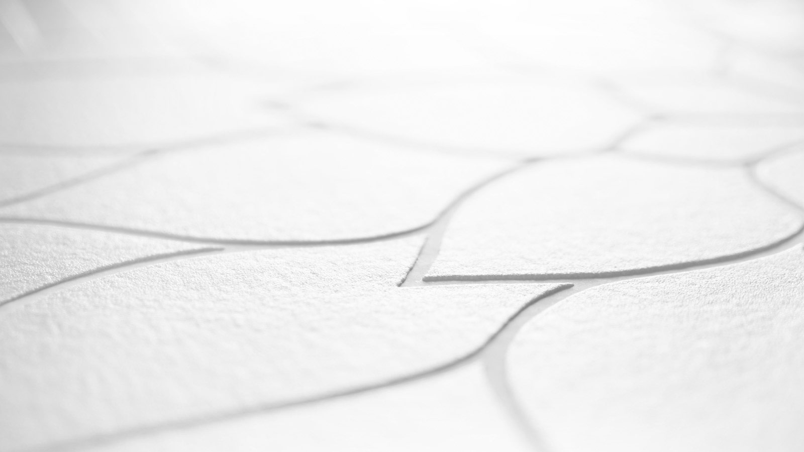 AS Vliestapete Meistervlies 8 überstreichbar 950710