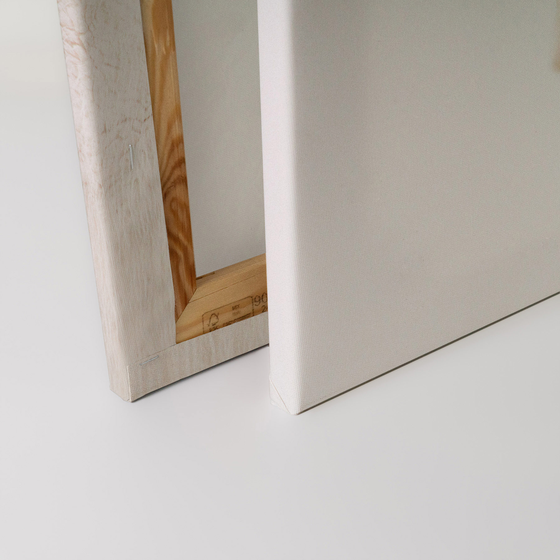 AS Leinwandbild Mountain Goat DD132208