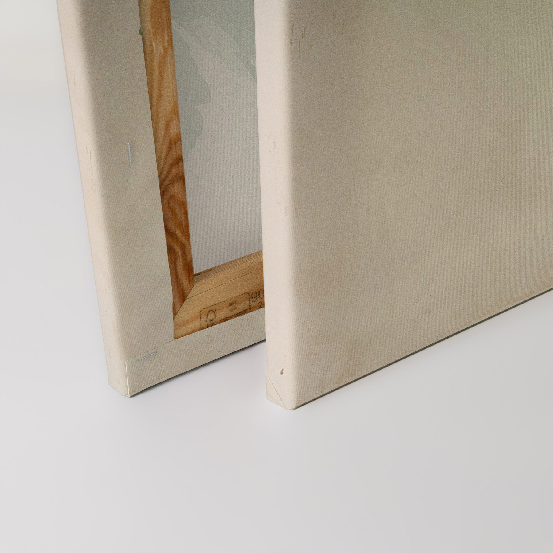 AS Leinwandbild Sellerie DD132959