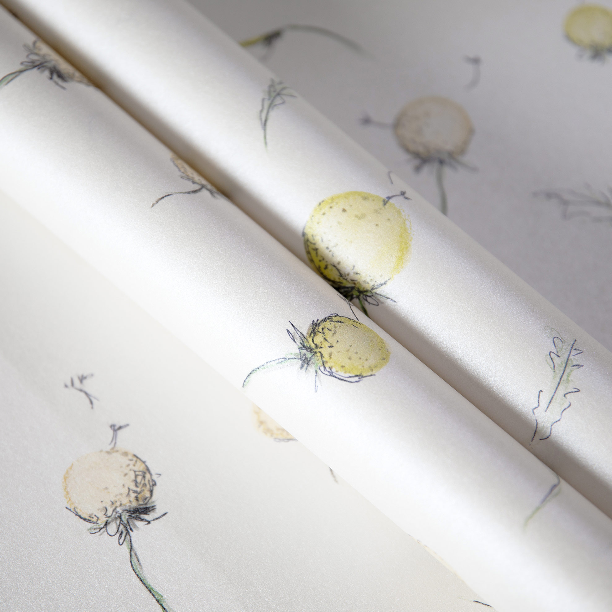 Hohenberger Vliestapete Happy Inner Child Dandelion 27559