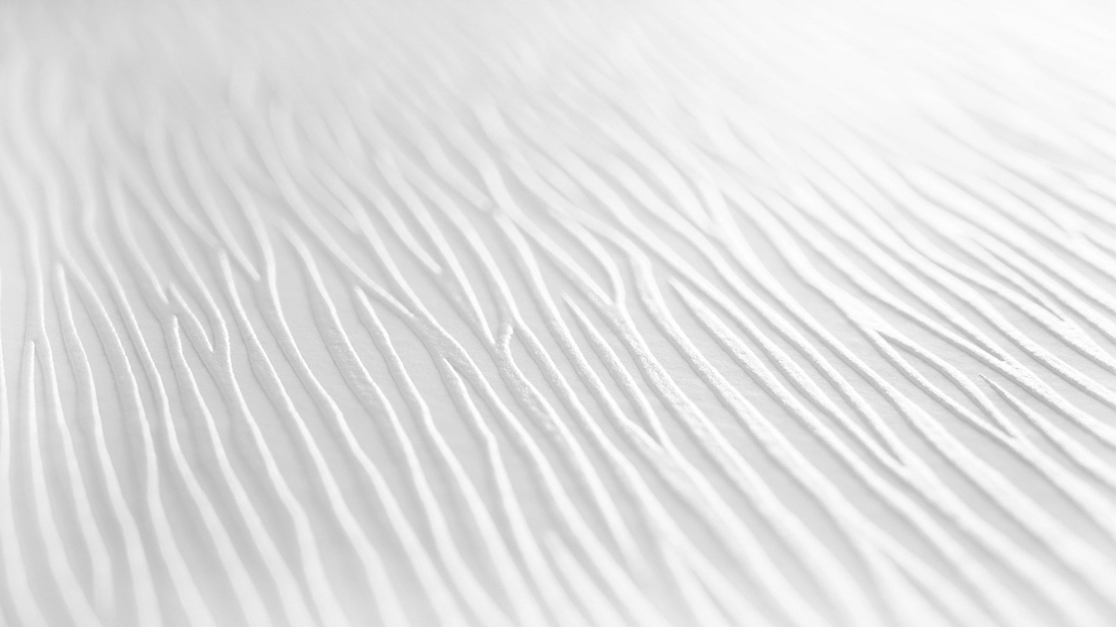 AS Vliestapete Meistervlies 8 überstreichbar 243911