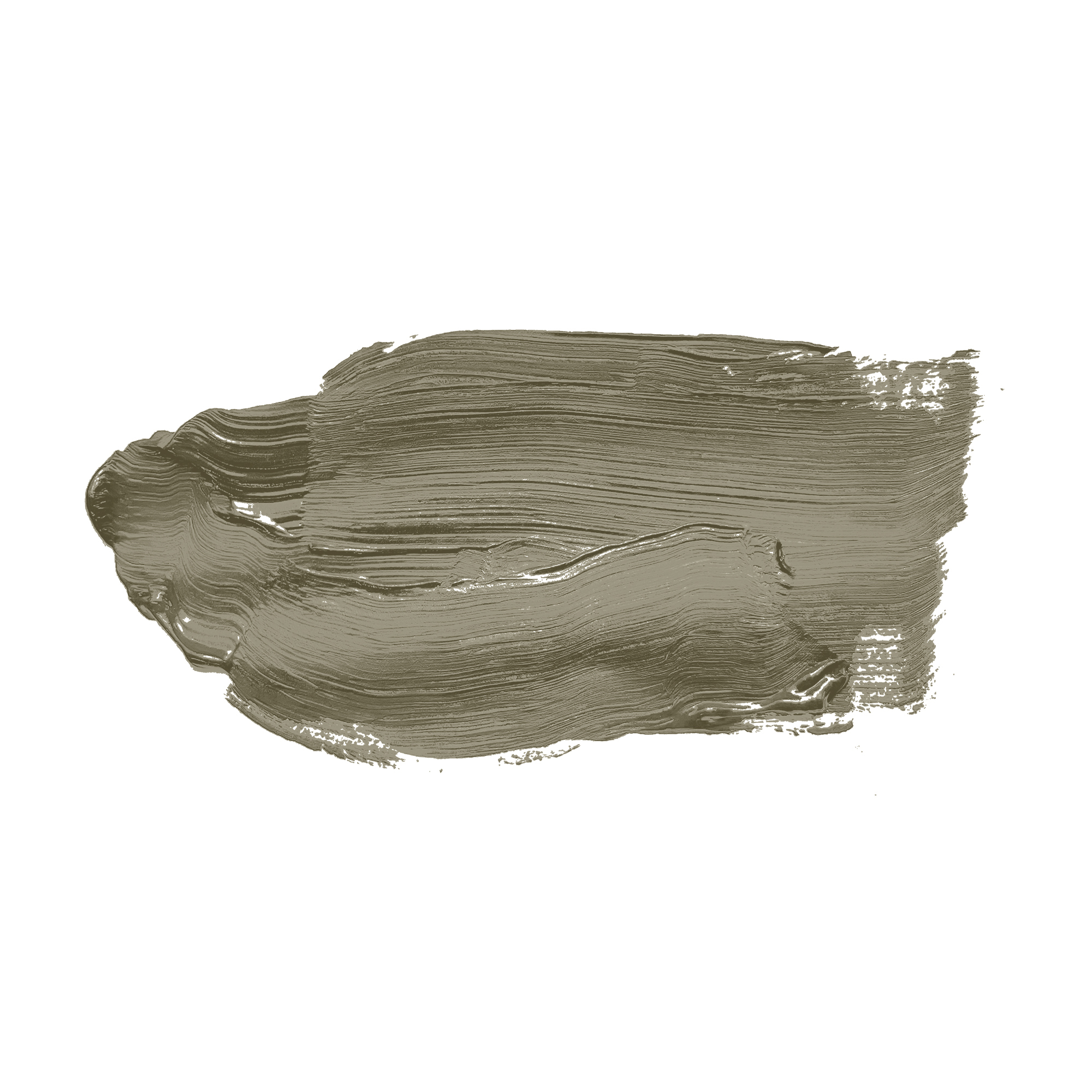 AS Wandfarbe The Color Kitchen TCK4013 Ordinary Olive 2,5 L