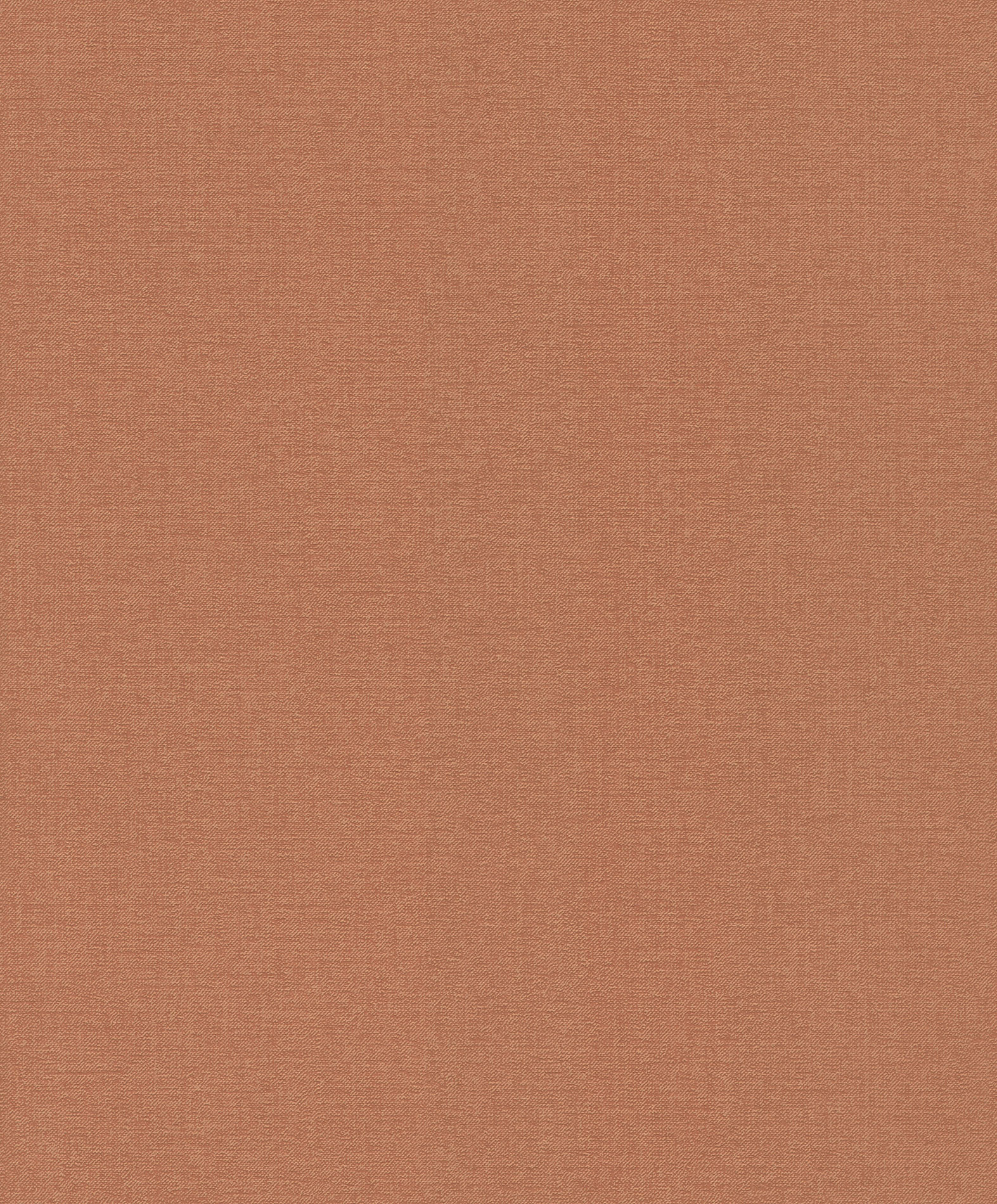 Emil & Hugo Vliestapete Bloomsbury 302287