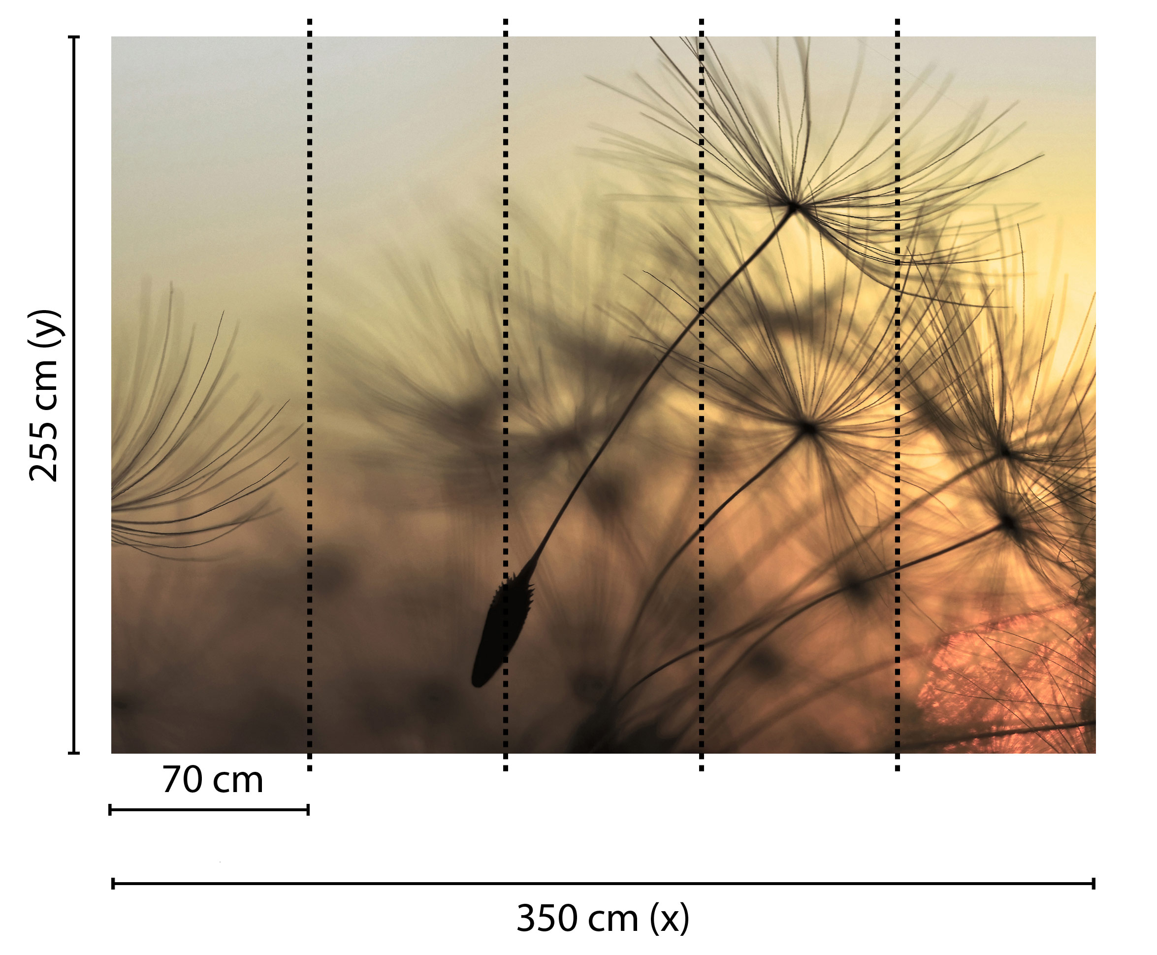 AS Fototapete Designwalls FlyingDandelion DD118592