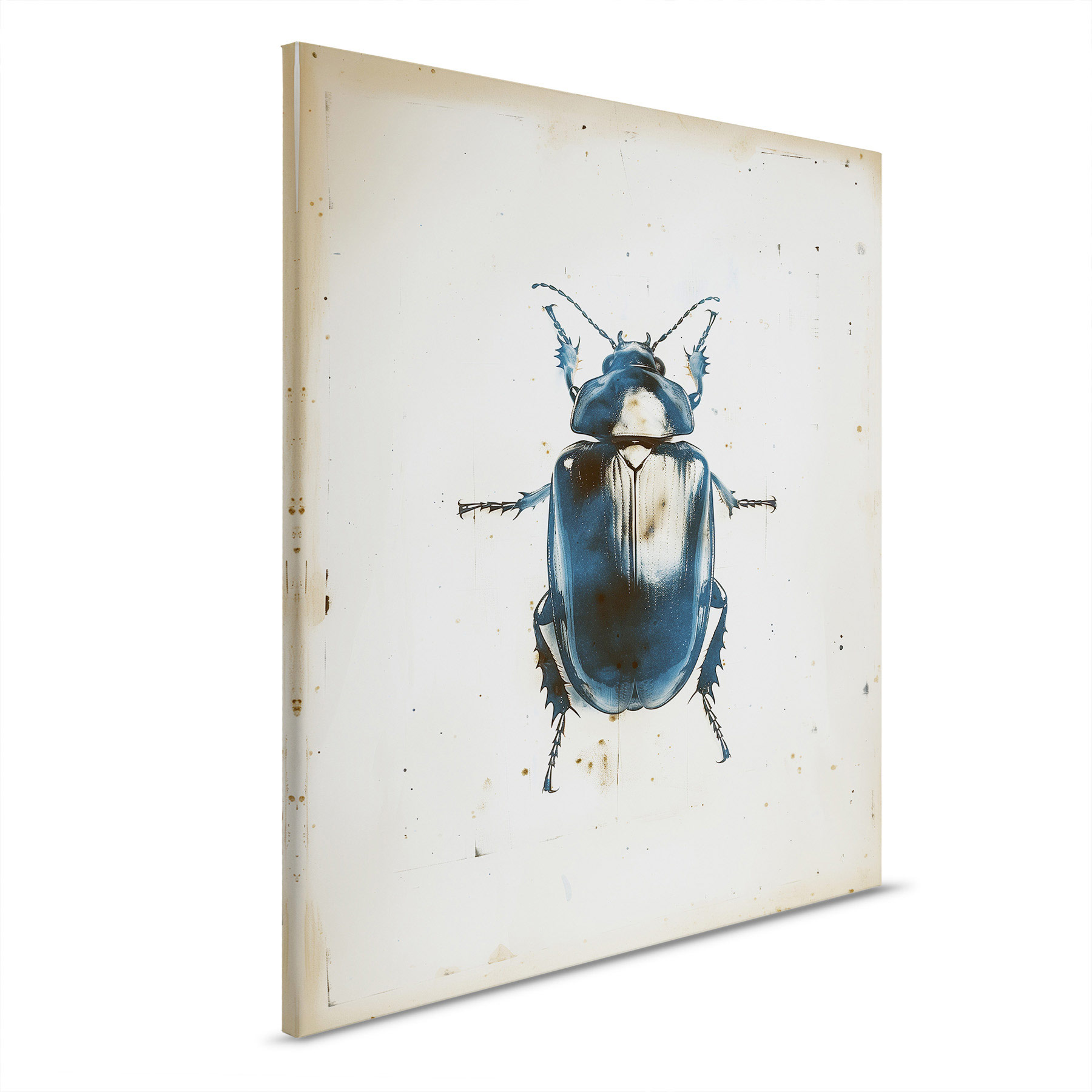 AS Leinwandbild Beetle DD132885
