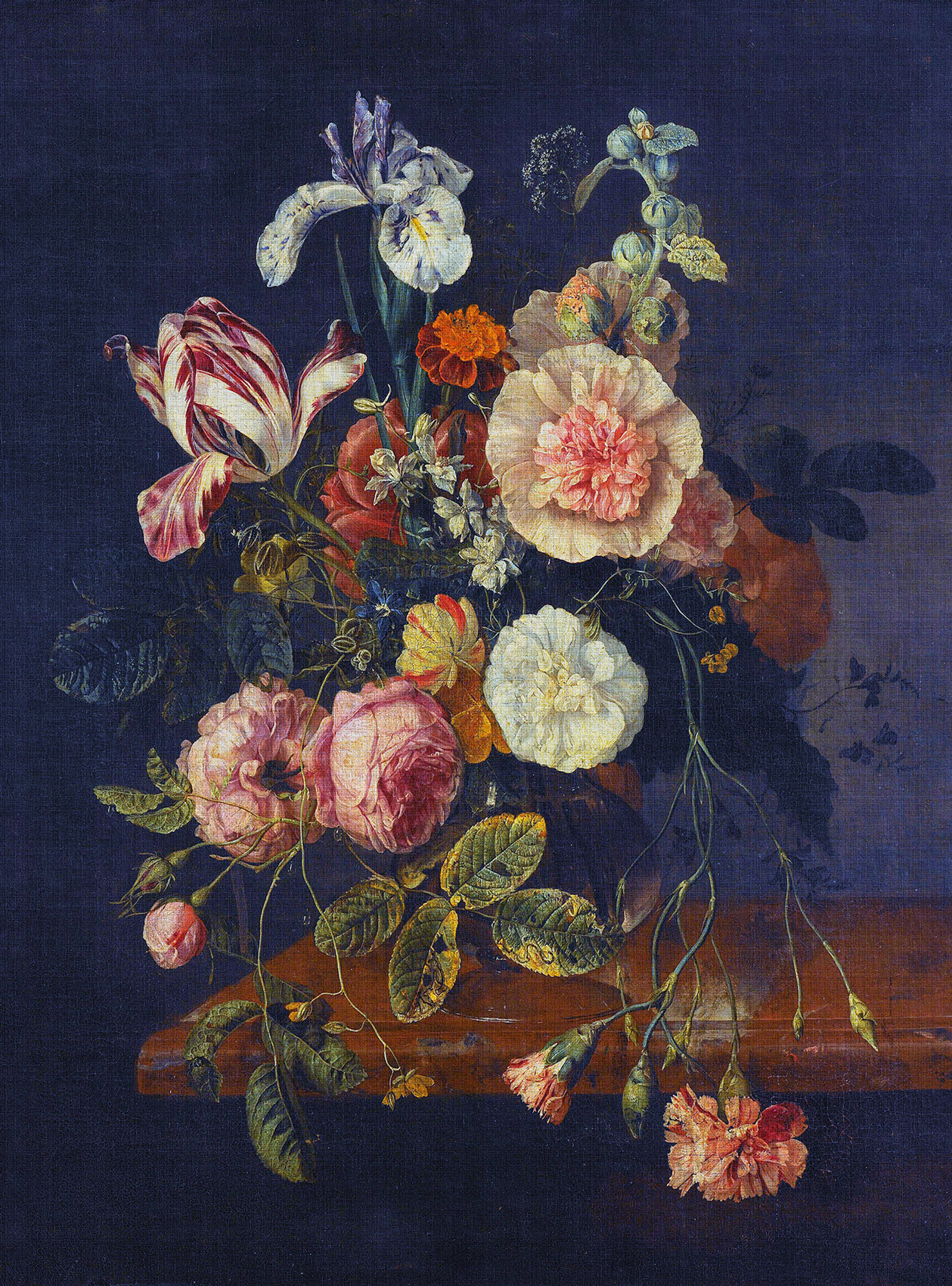 AS Fototapete Walls by Patel 3 Blumen DD122160 AS Fototapete Walls by Patel 3 Blumen DD122160