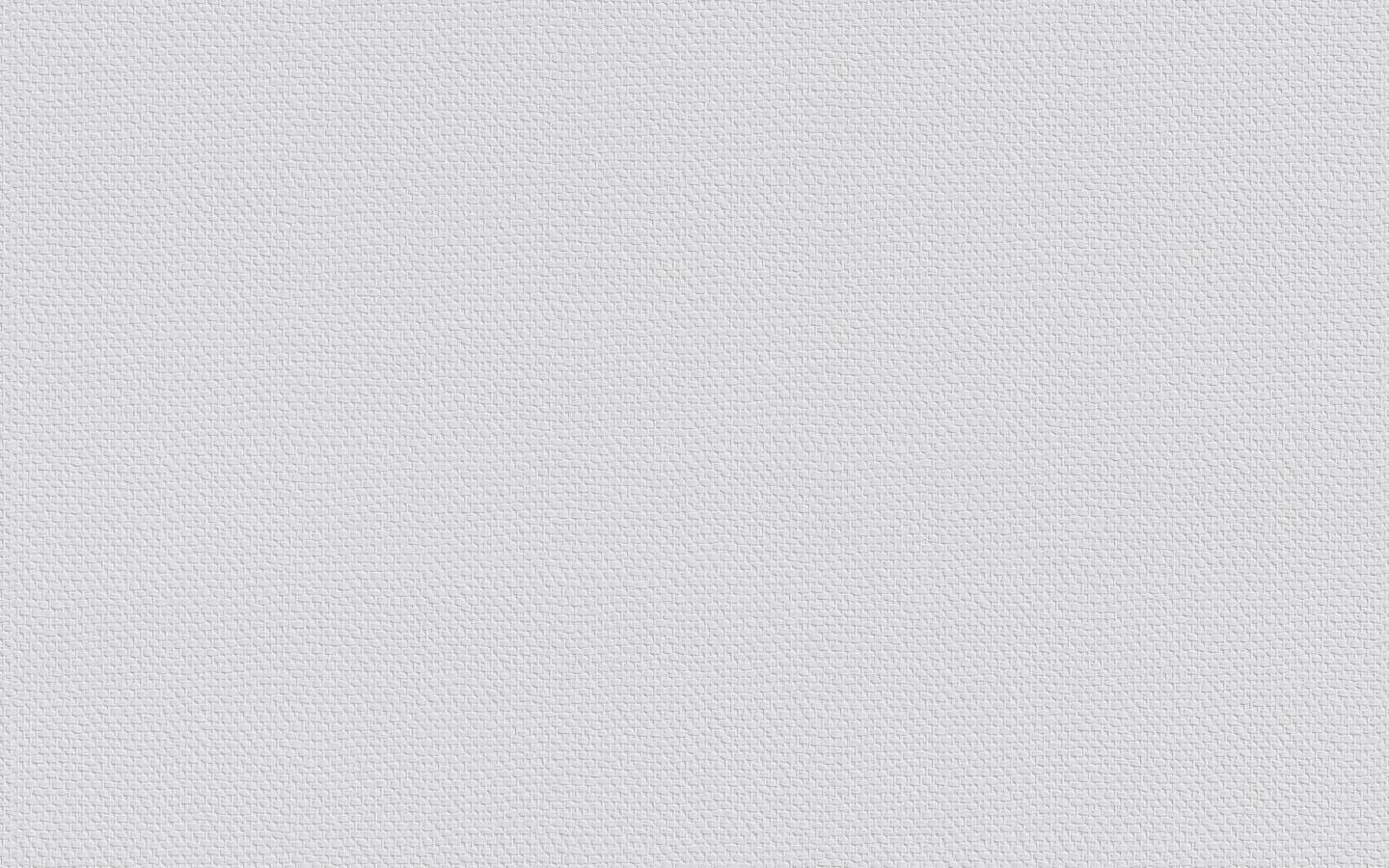 Erfurt Vliesfaser Tapete Protect 205 | Karton (6 Rollen)