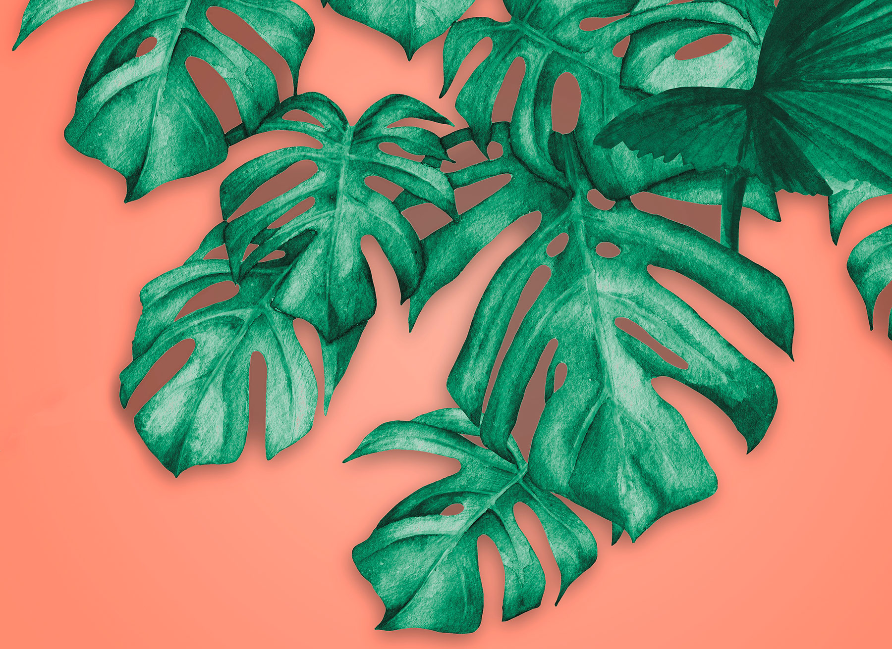 AS Fototapete Designwalls 2 Natur Pflanzen DD123482