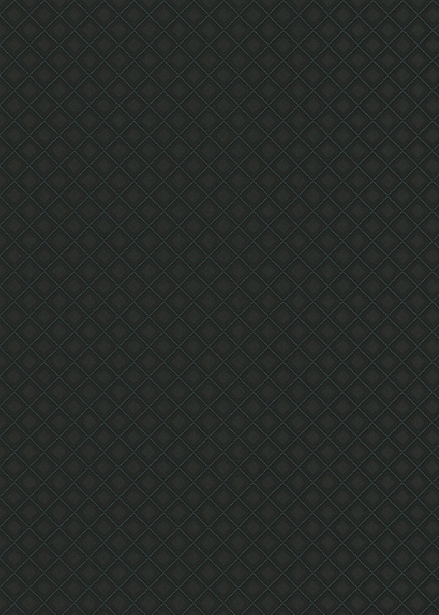 Erismann Vliestapete Versailles schwarz 1028915