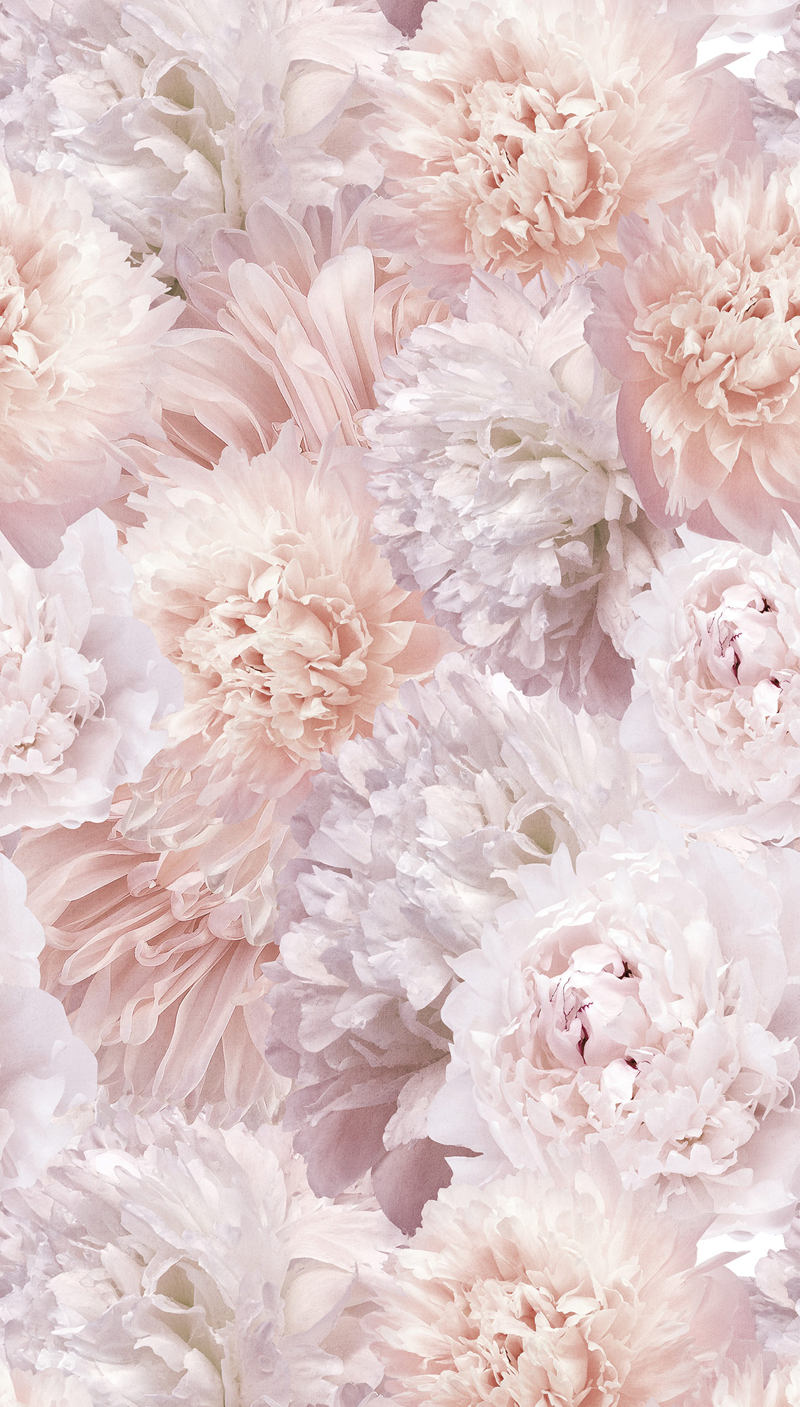 Grandeco Wandbild Eine Rolle ein Motiv 2 Blumen A77501