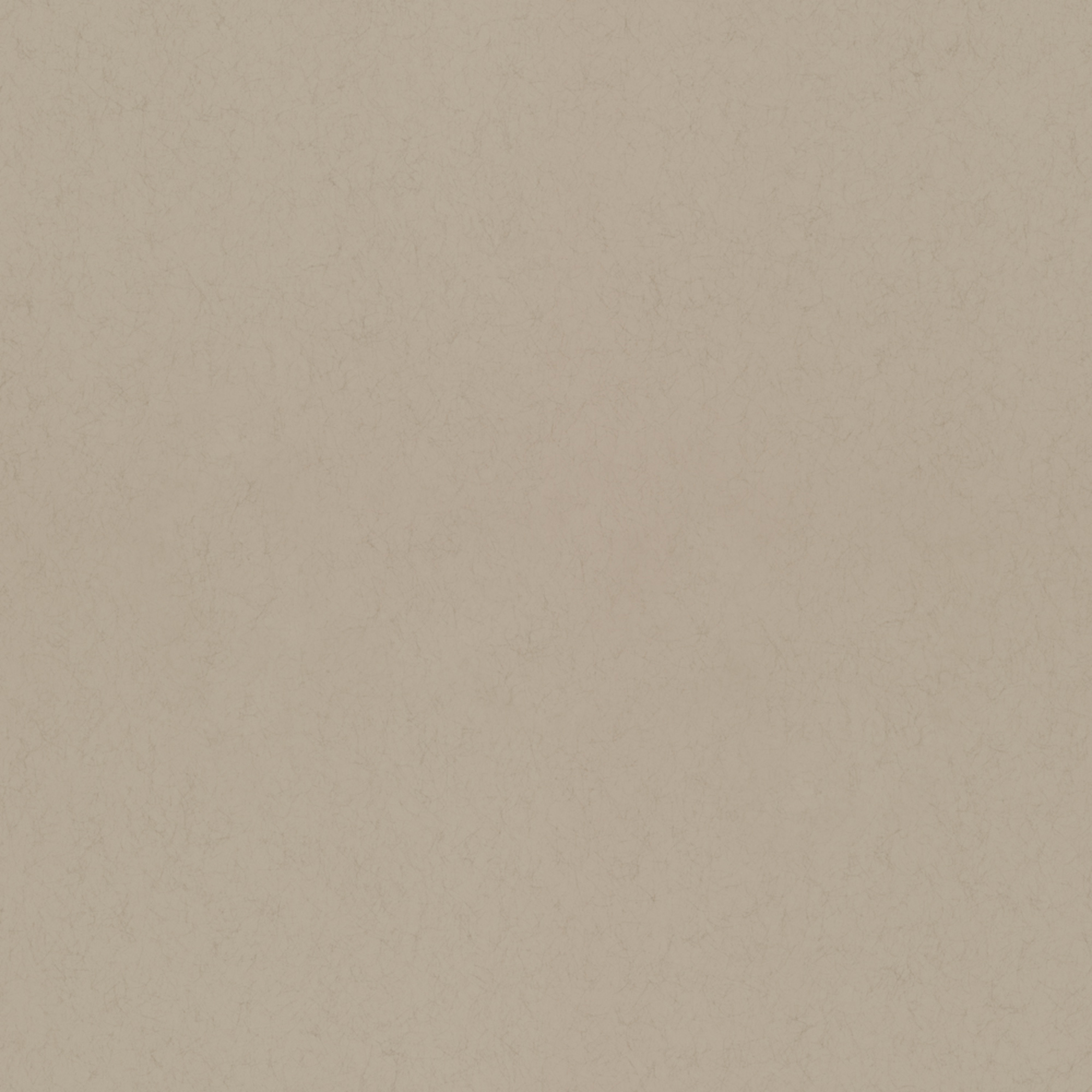 Rasch Textil Vliestapete Fagelsang Uni matt 077016 Rasch Textil Vliestapete Fagelsang Uni matt 077016