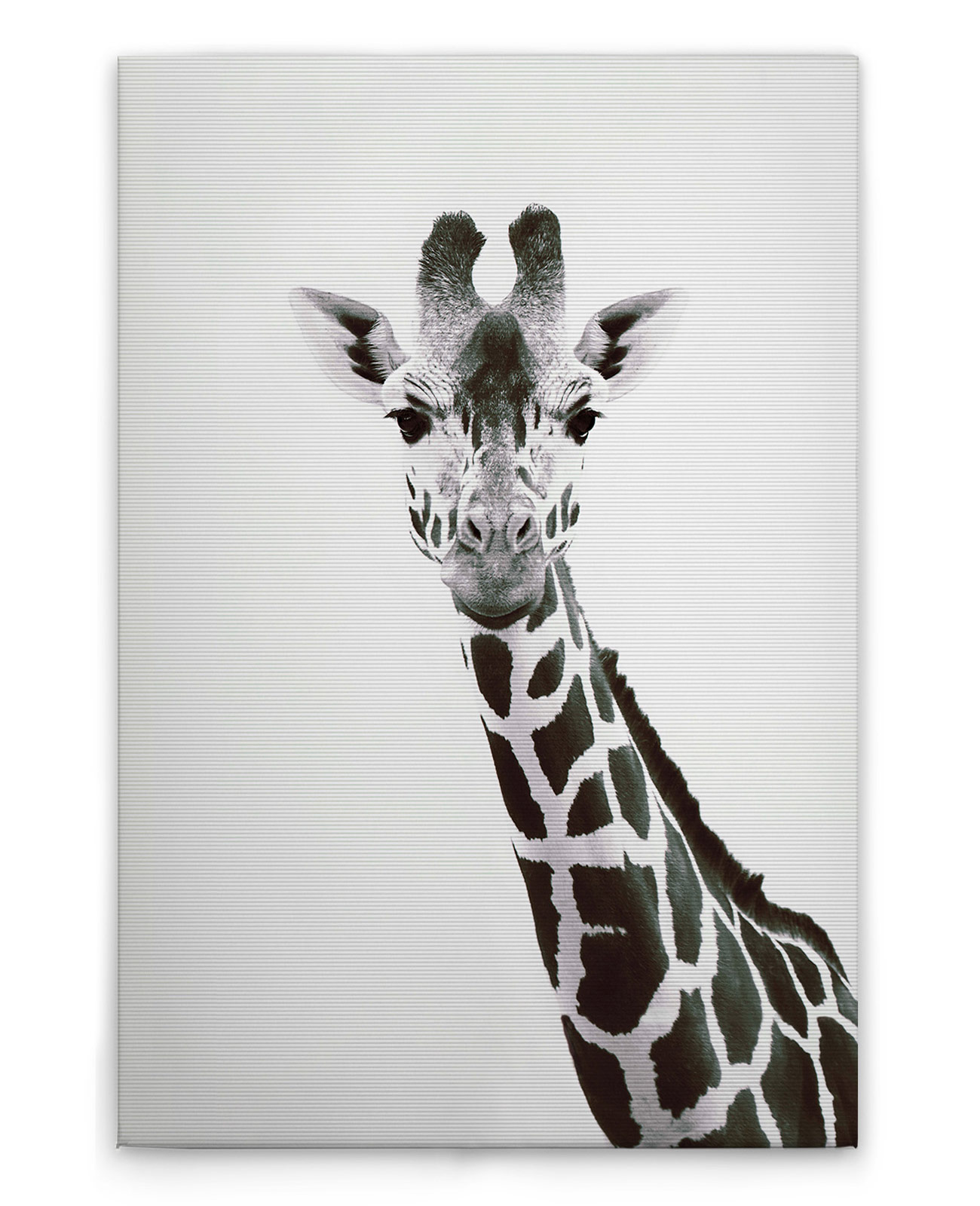 AS Leinwandbild Giraffe Portrait DD132223