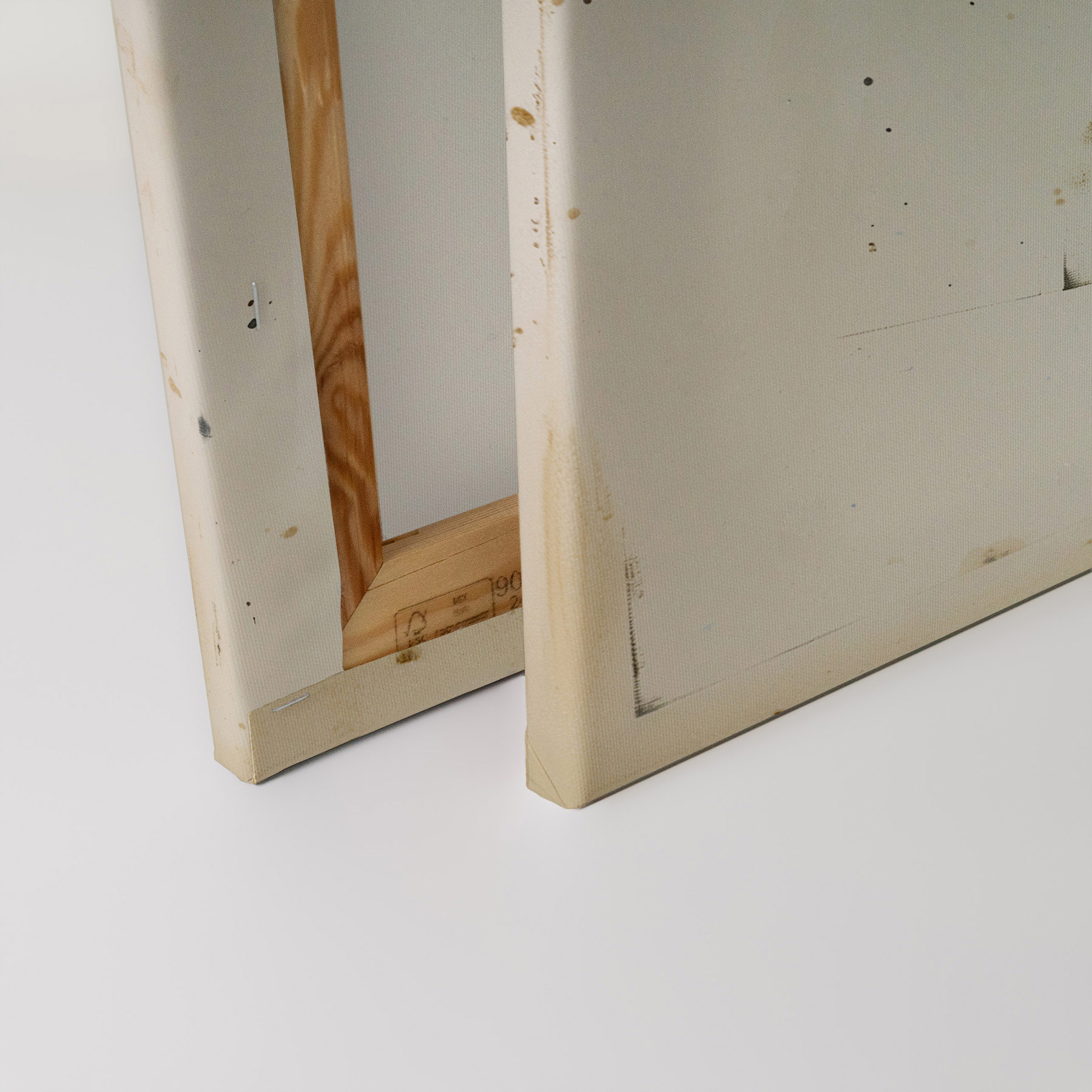 AS Leinwandbild Beetle DD132885