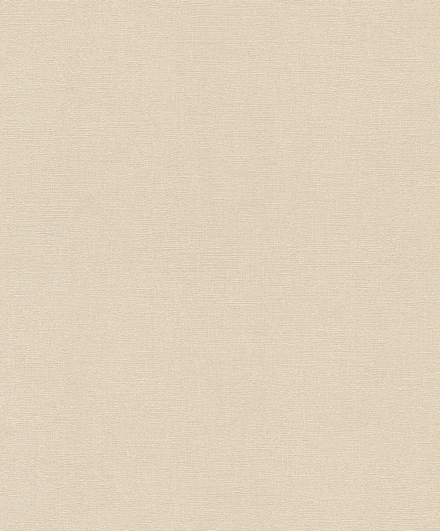 Rasch Vliestapete Welcome Home Beige-Mittelbeige 654158
