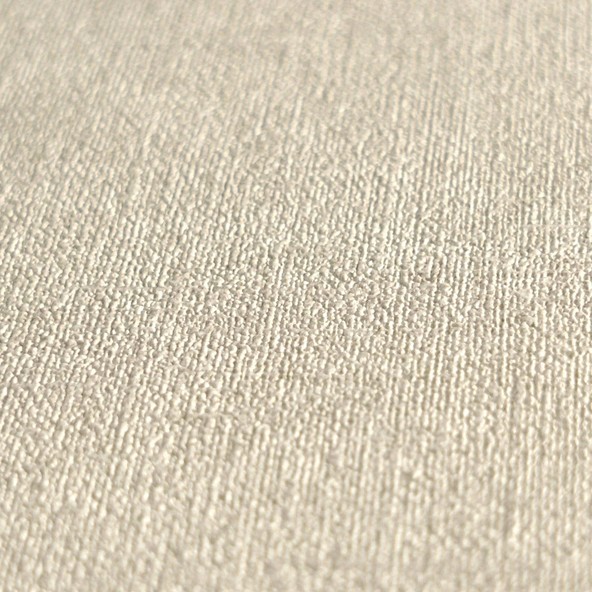 AS Vliestapete MS Hot Spots Unis Beige 395654