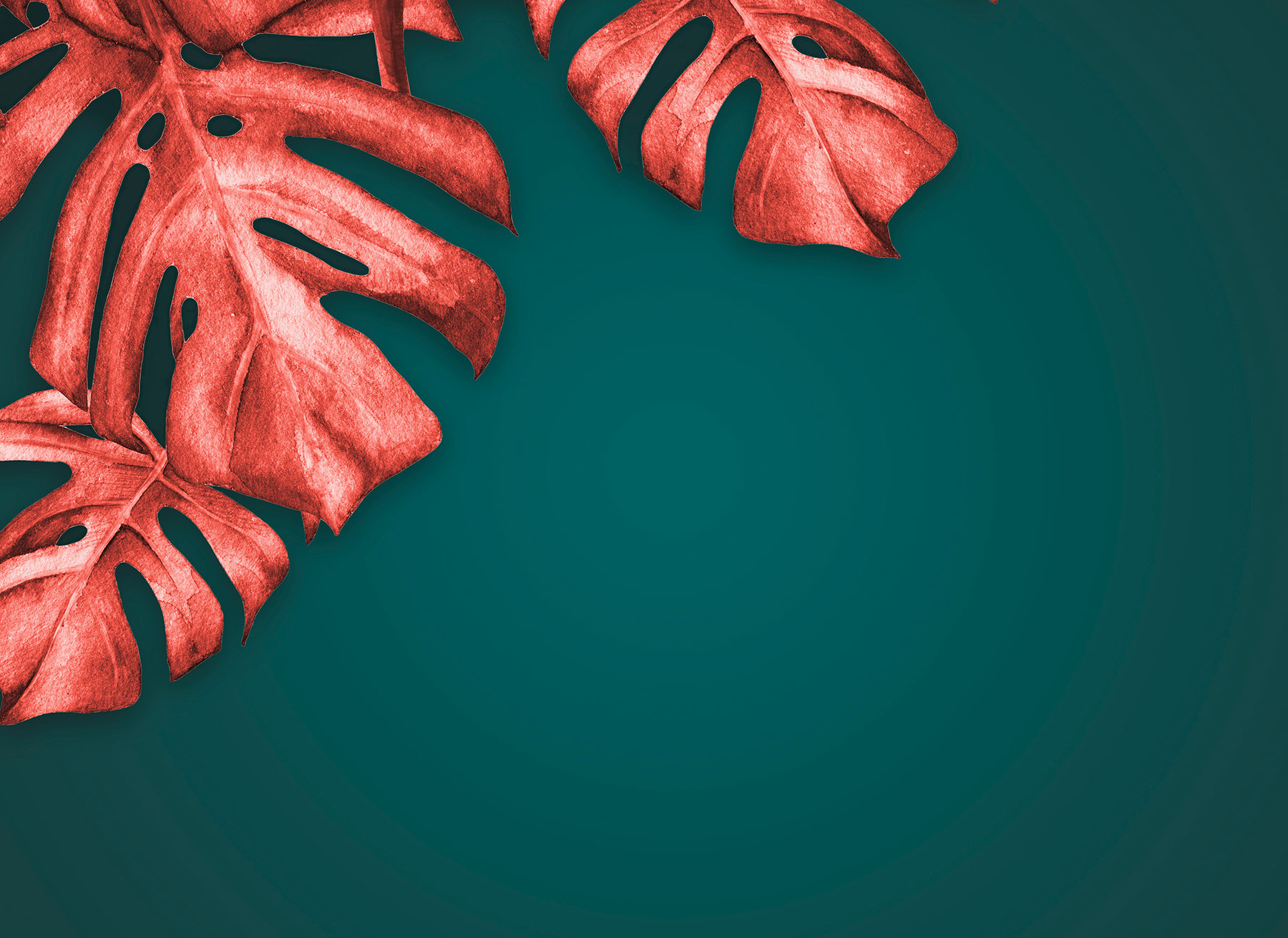 AS Fototapete Designwalls 2 Palmen Blumen DD123480