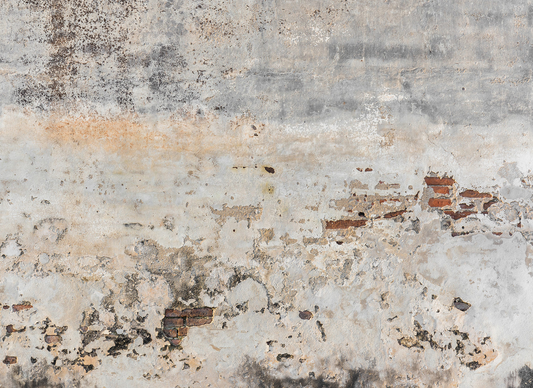 AS Fototapete Designwalls Old Wall DD118764