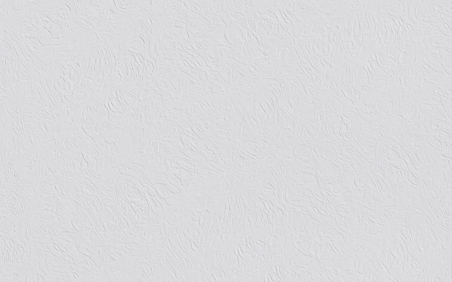 Erfurt Vliesfaser Tapete Basic 100 | Einzelrolle