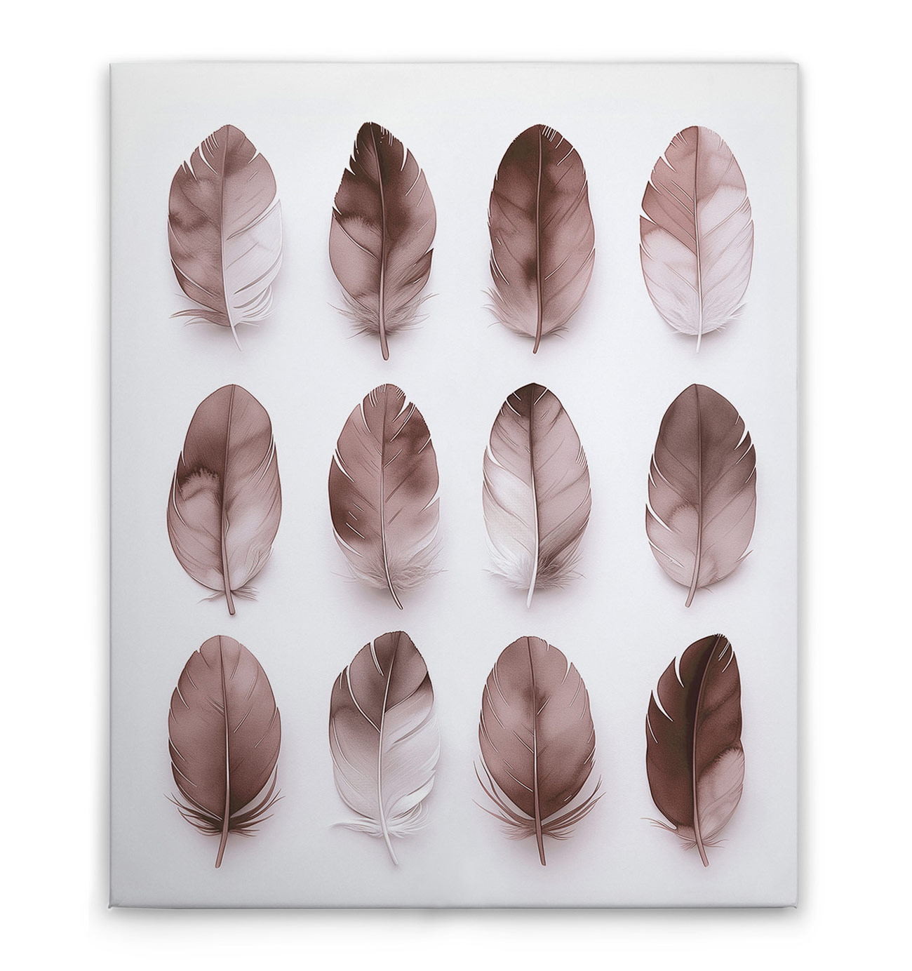 AS Leinwandbild Feathers Mauve DD132892 AS Leinwandbild Feathers Mauve DD132892