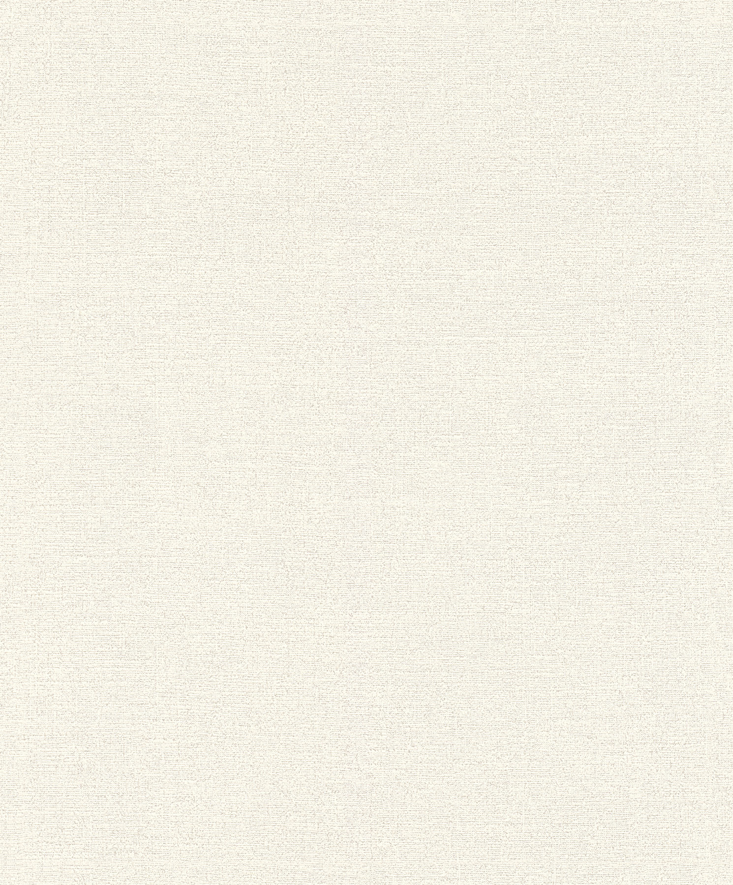 Rasch Vliestapete Andy Wand Uni 650501