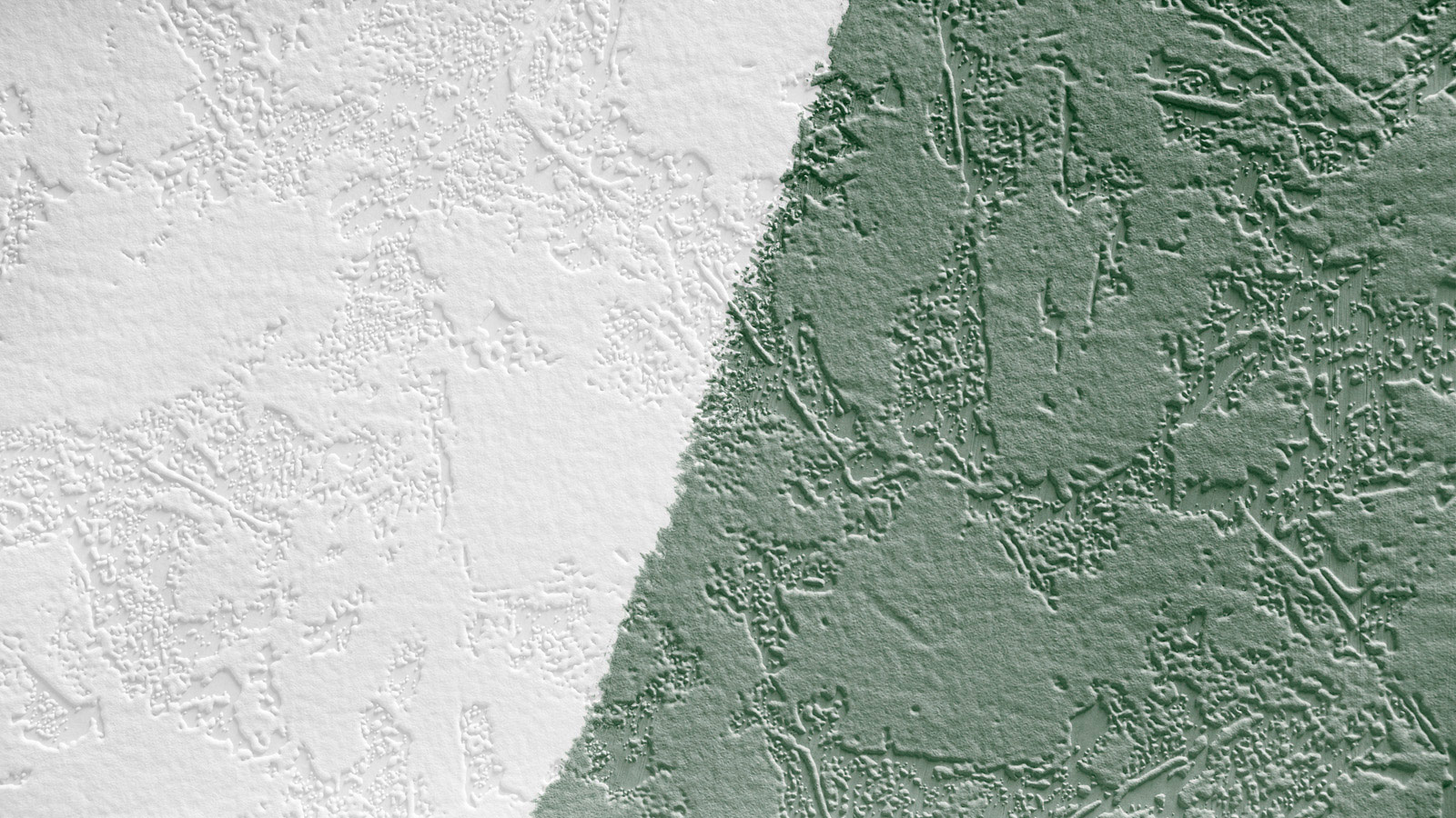 AS Vliestapete Meistervlies 8 überstreichbar 521811