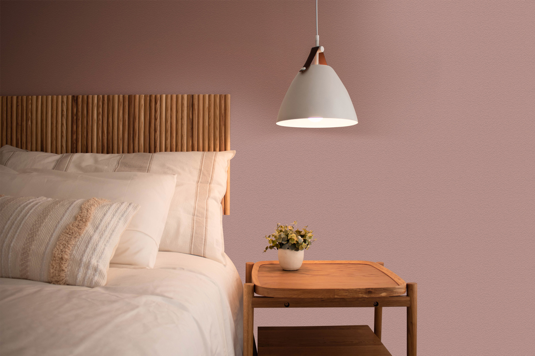 AS Wandfarbe The Color Kitchen TCK7002 Jellied Jostaberry 2,