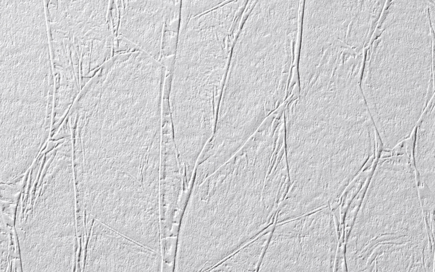 Erfurt Vliesfaser Tapete Protect 200 | Einzelrolle