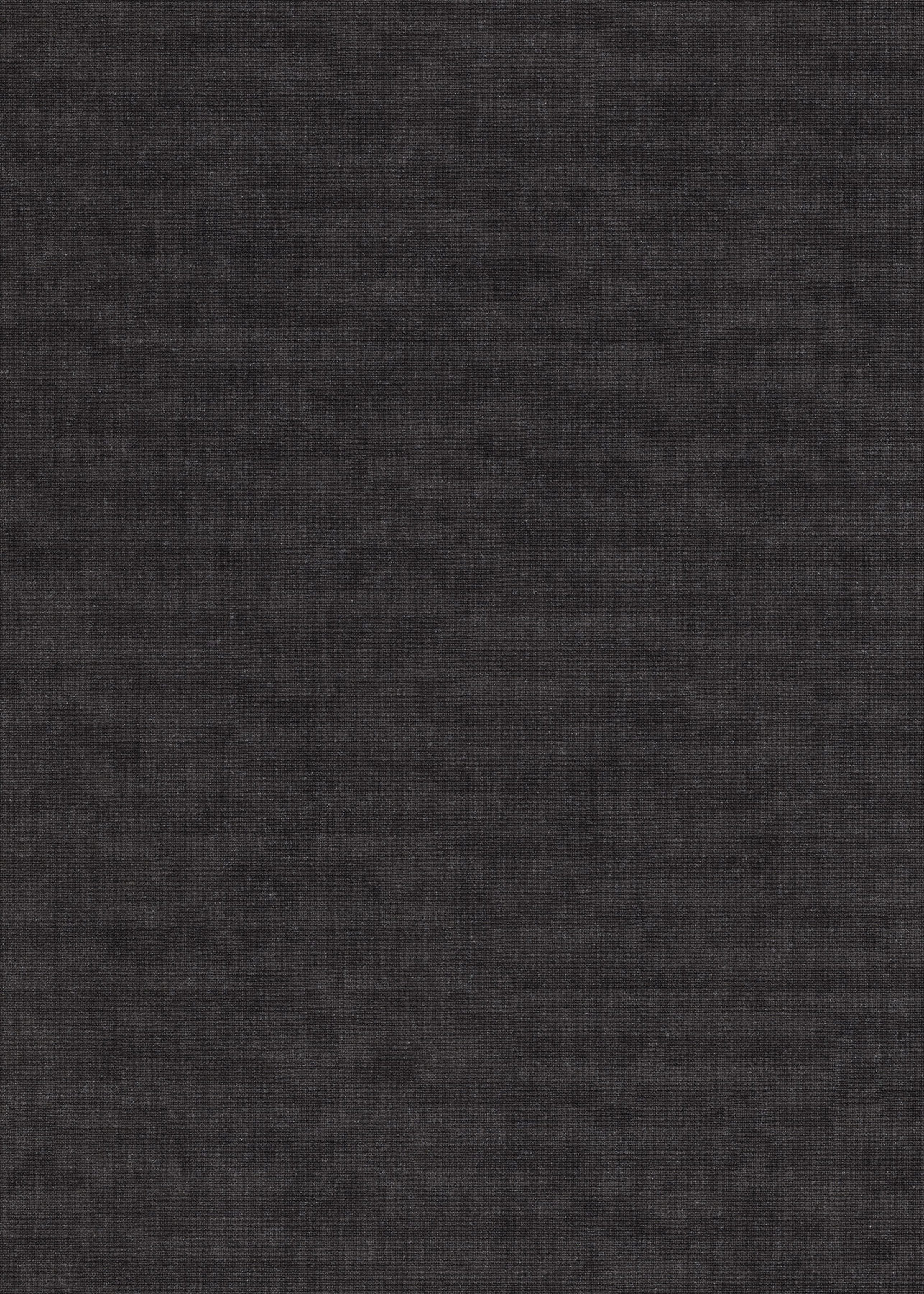 Erismann Vliestapete Elysium anthrazit 1047347 Erismann Vliestapete Elysium anthrazit 1047347