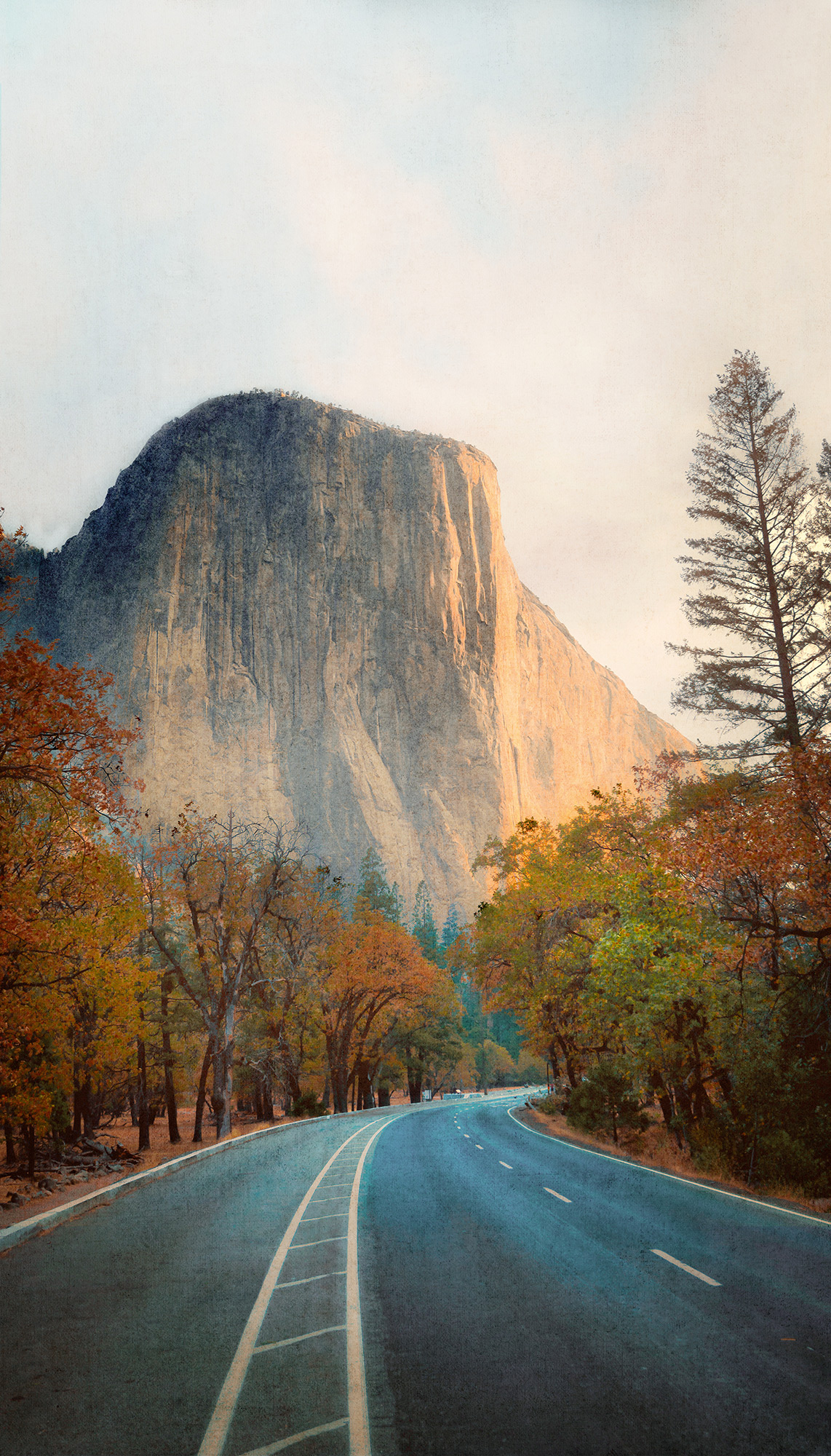 Grandeco Wandbild Mural Young Edition ML1201