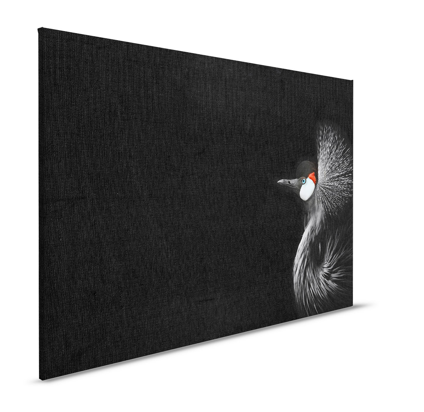 AS Leinwandbild Crowned Crane DD132203