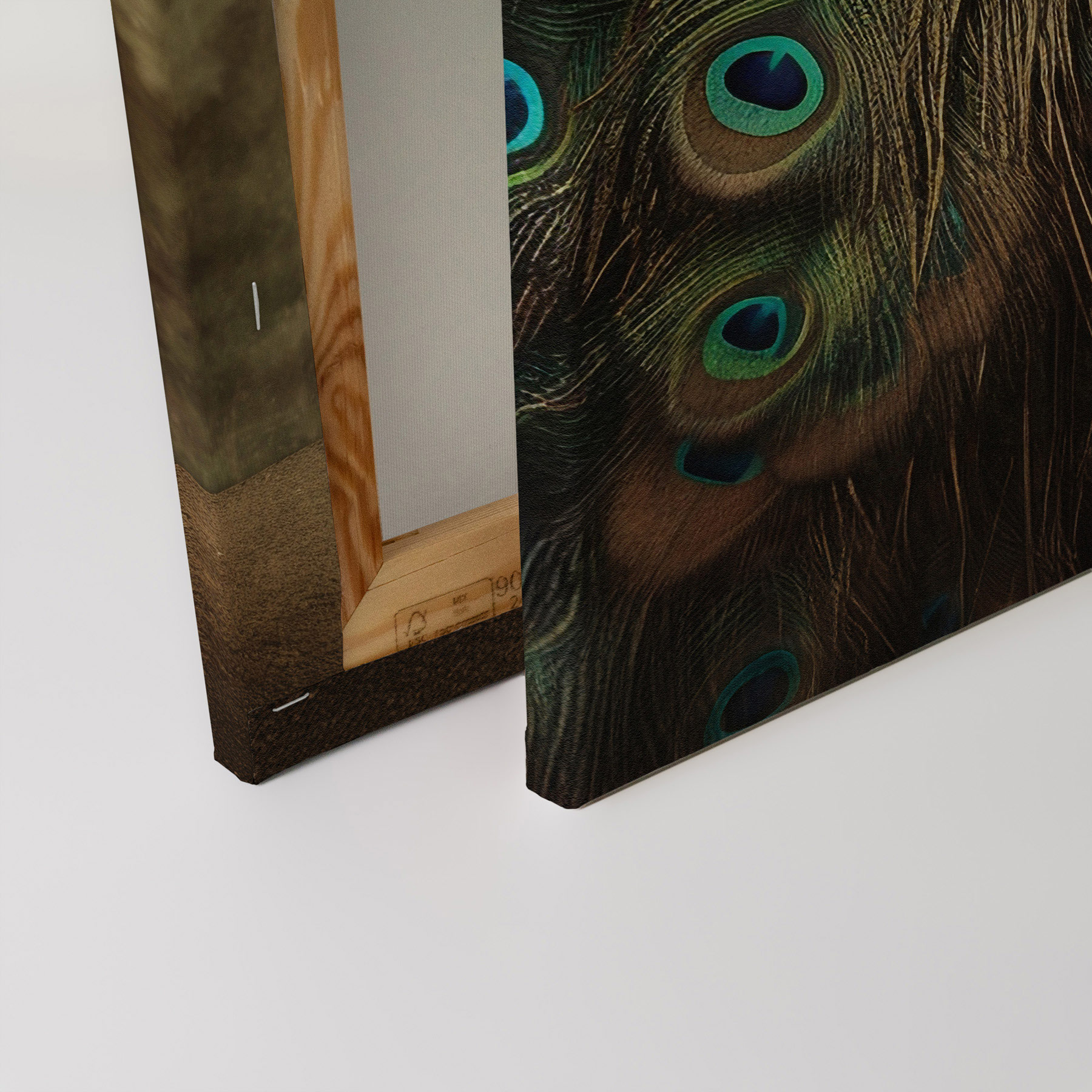 AS Leinwandbild Peacock Vintage DD133349